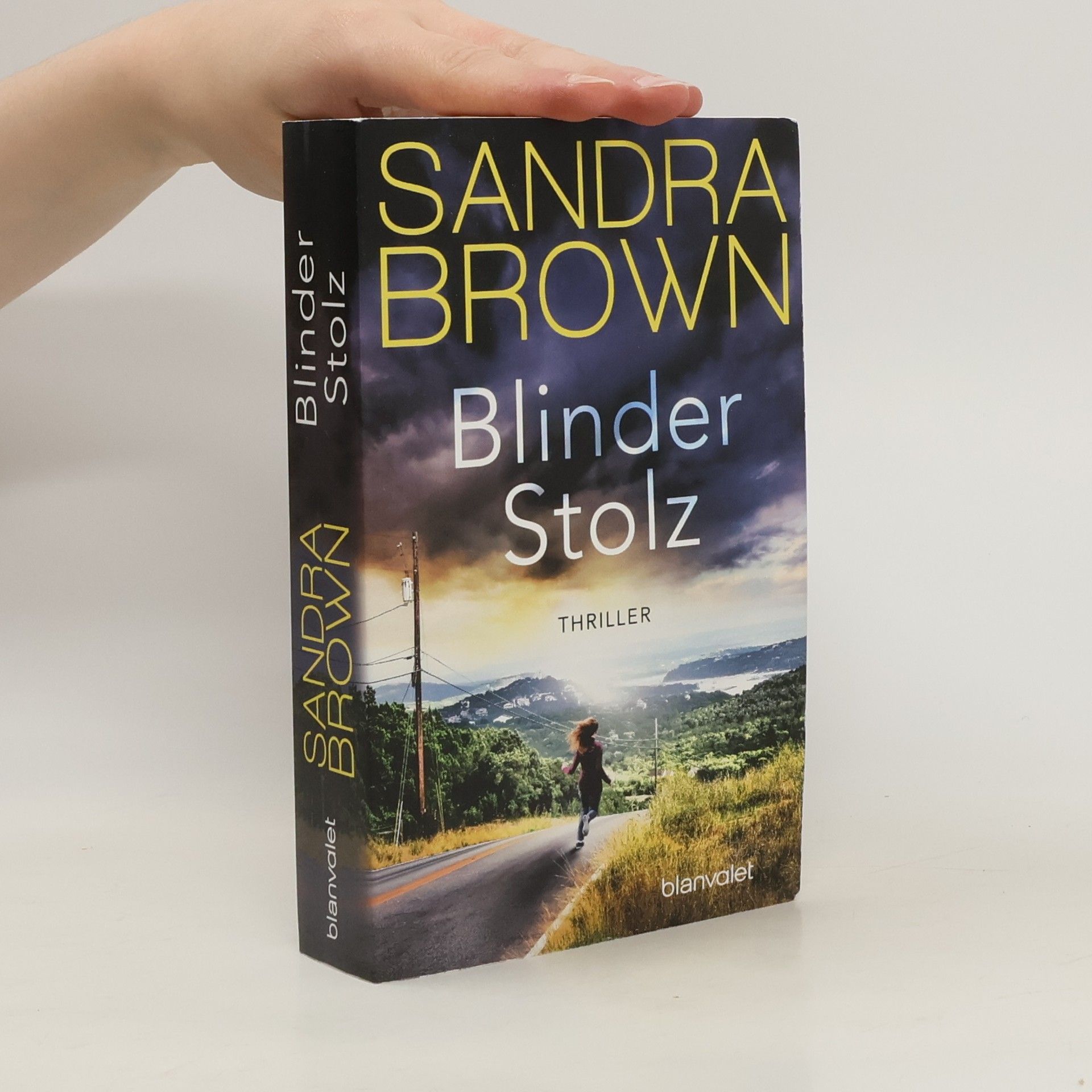 Sandra Brown Blinder Stolz