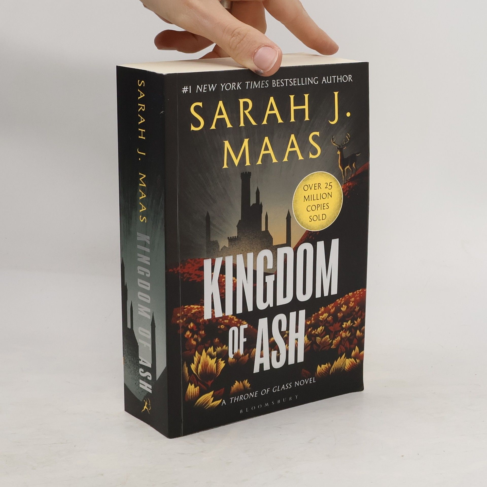 Sarah J. Maas Kingdom of Ash