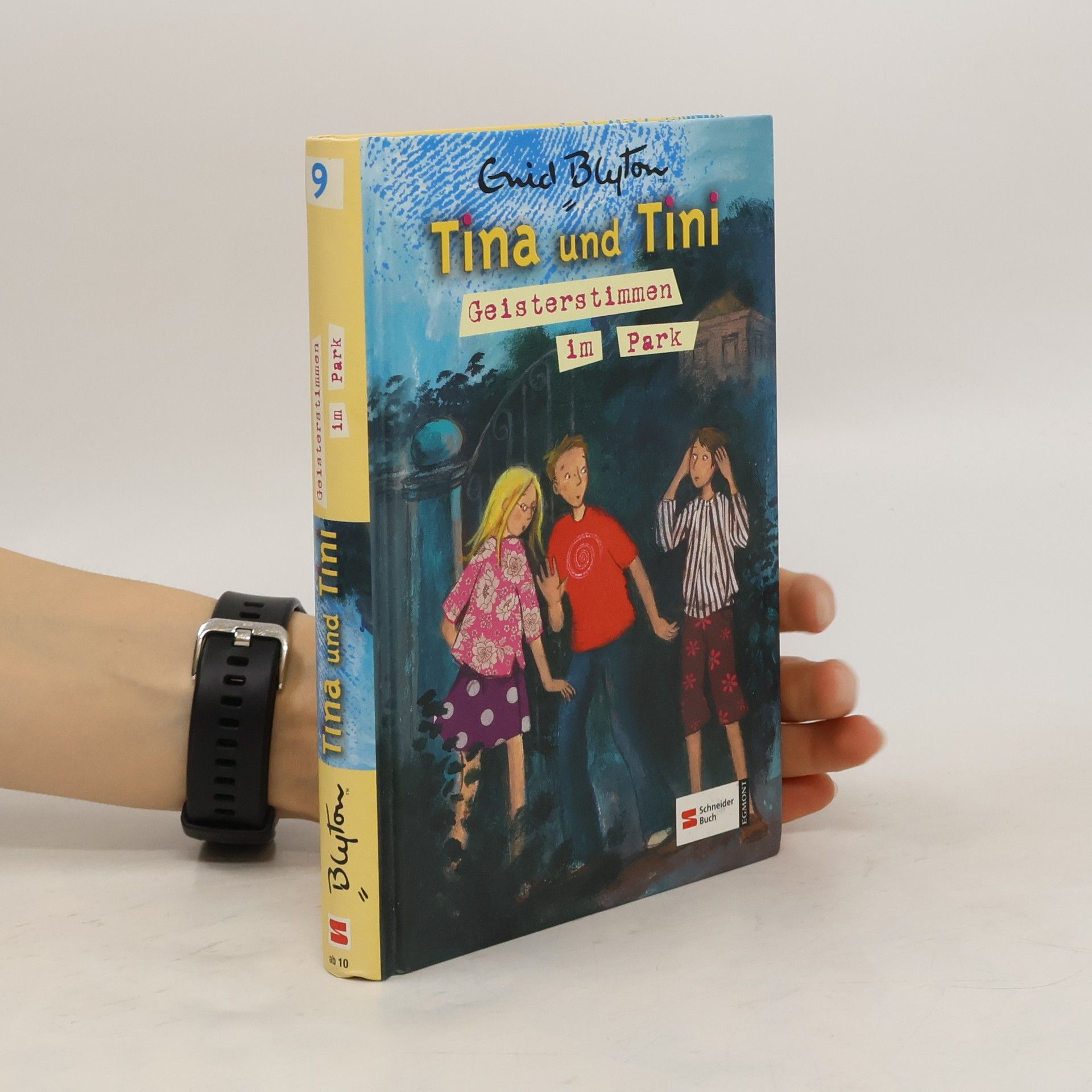 Enid Blyton Tina und Tini und die Geisterstimmen im Park. Band 9