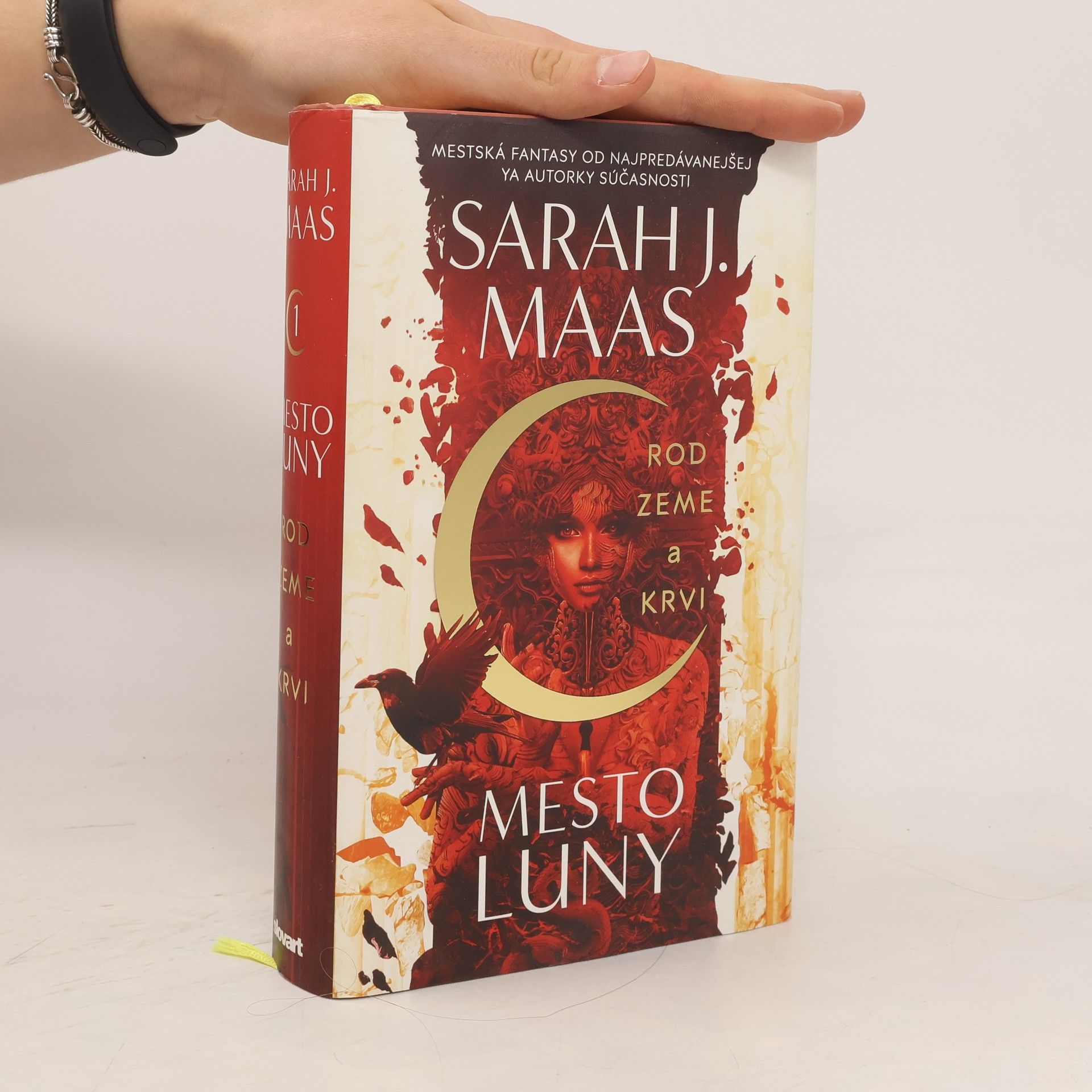 Sarah J. Maas Rod zeme a krvi