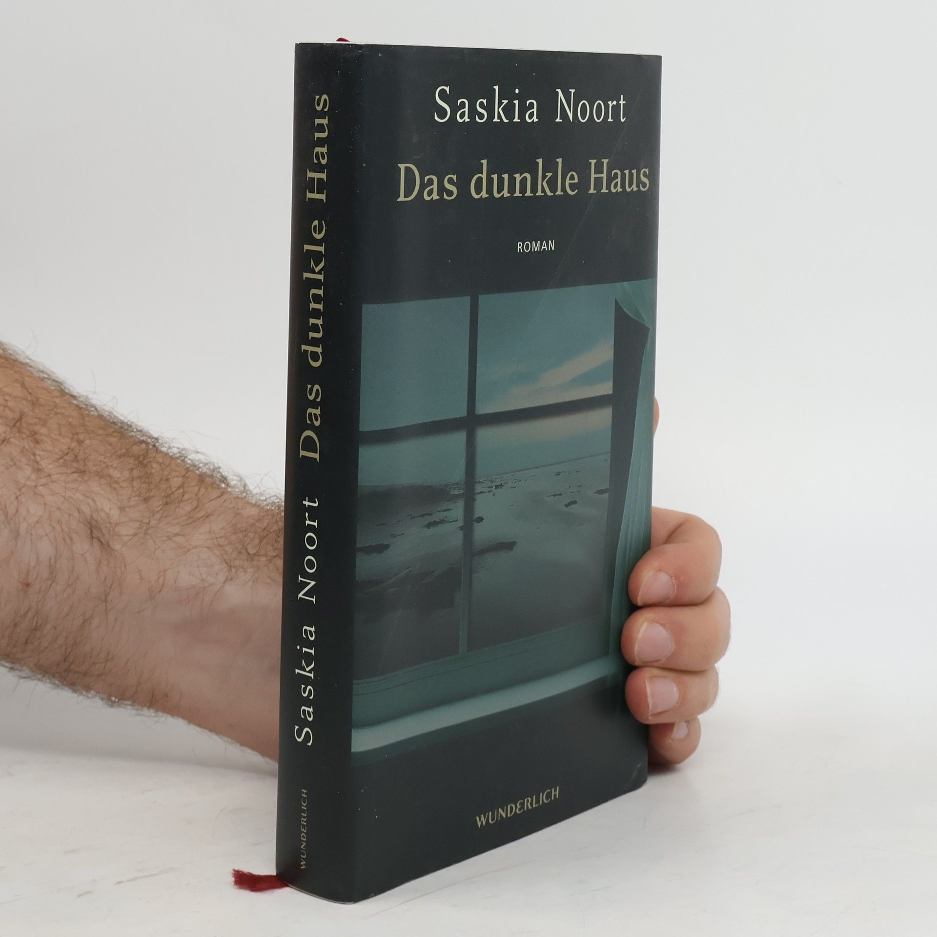 Saskia Noort Das dunkle Haus