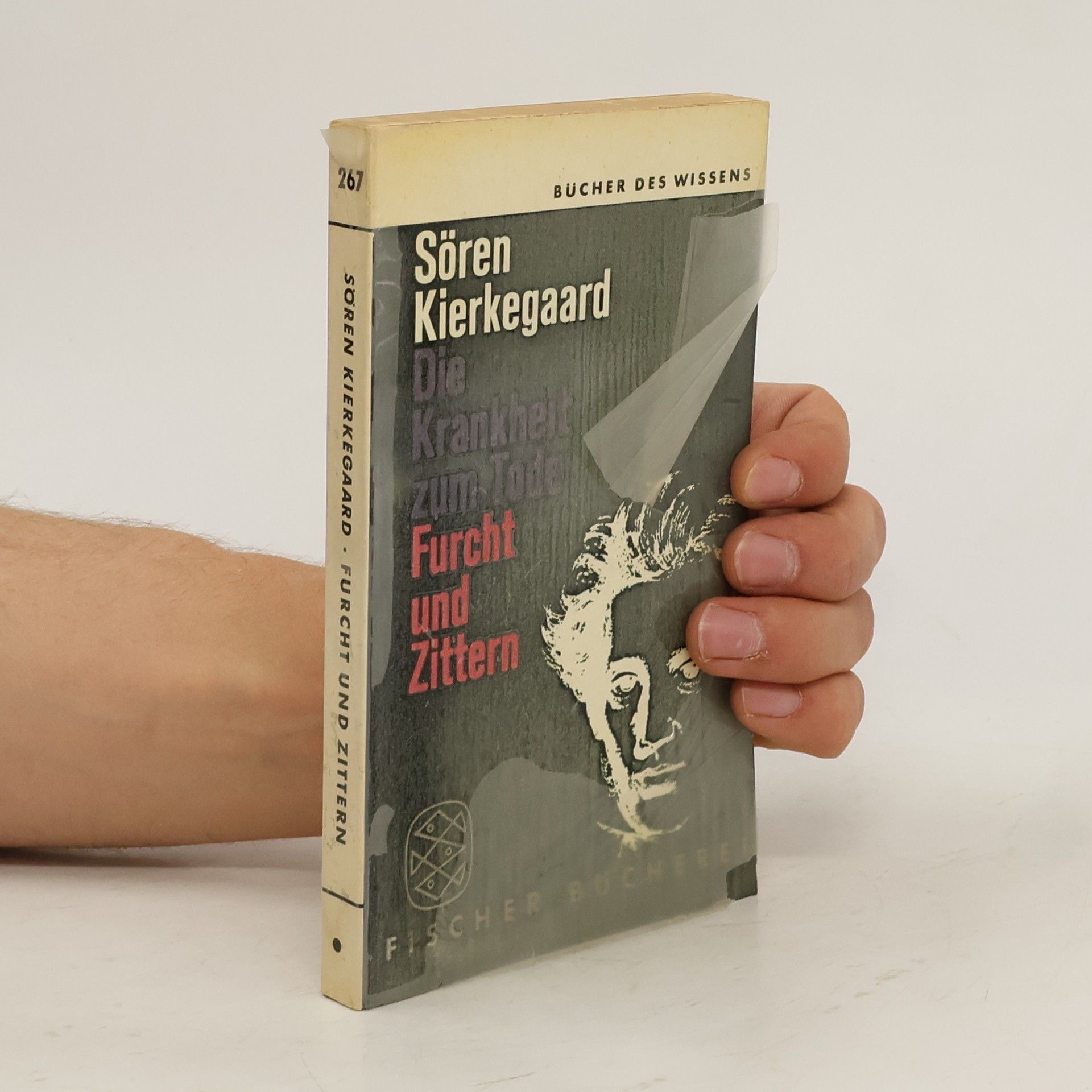 Soren Kierkegaard Die Krankheit zum Tode. Furcht und Zittern