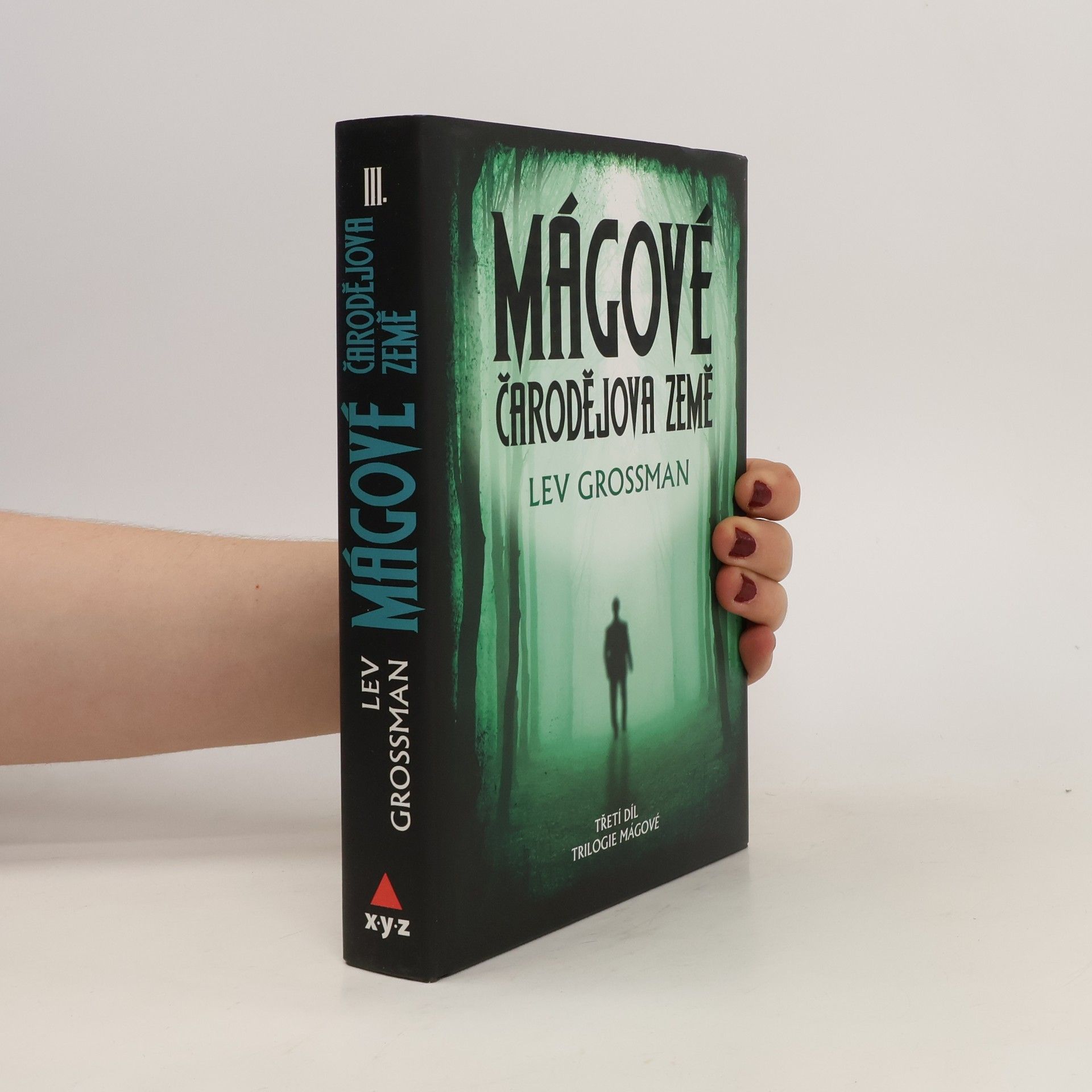 Lev Grossman Mágové: Čarodějova země