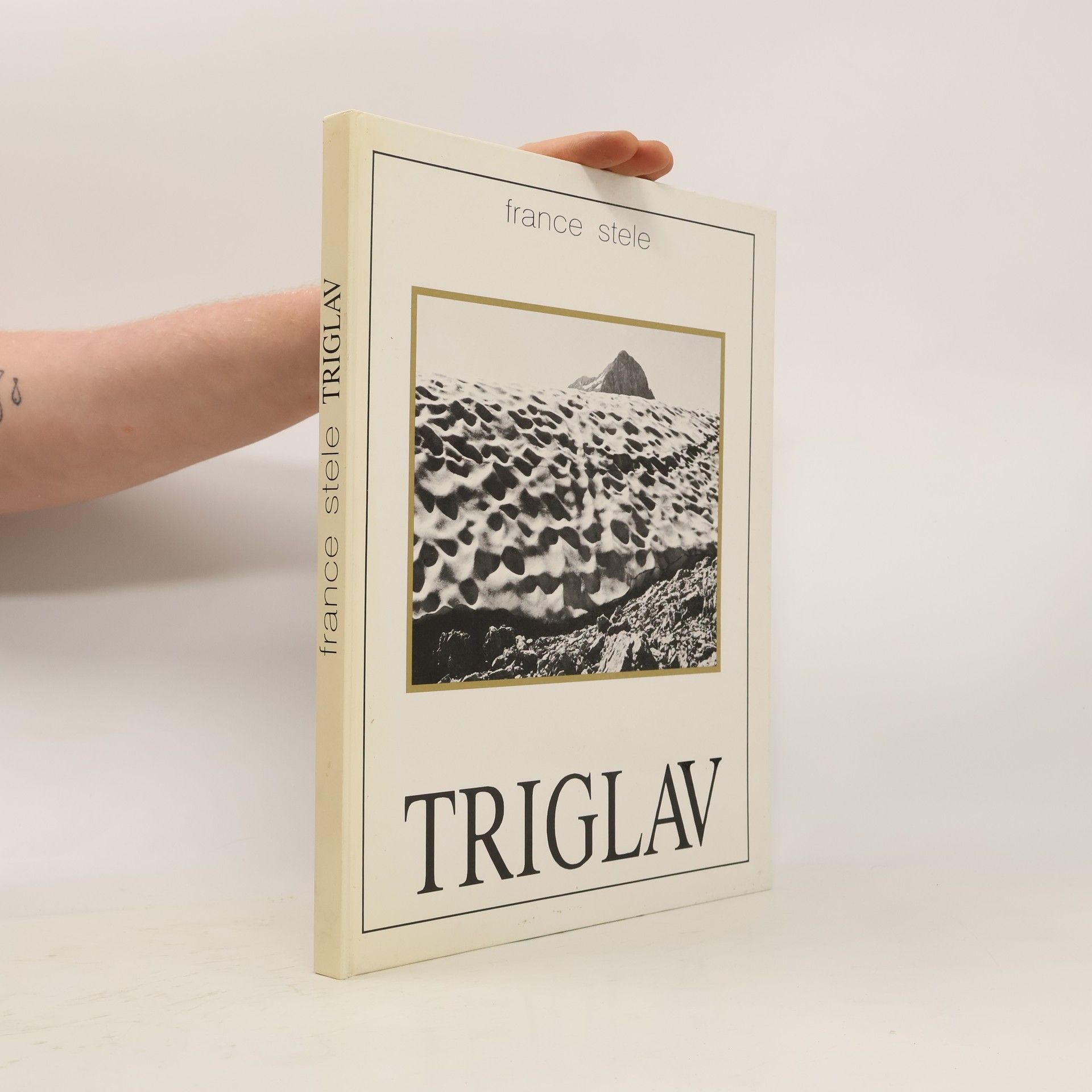 Francè Stelè Triglav