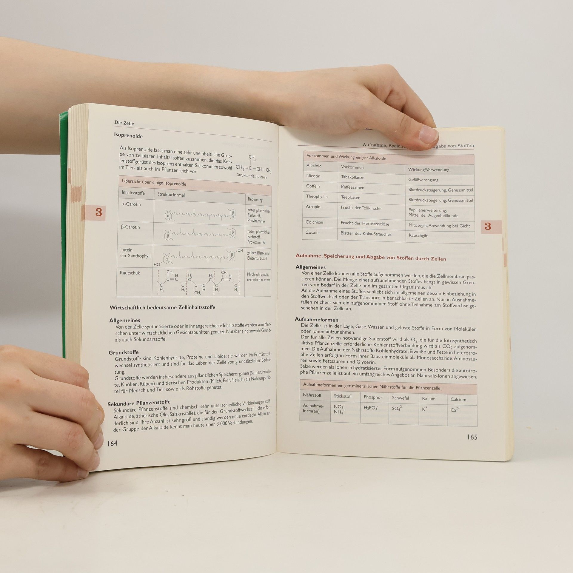 Kolektiv autorů Wissensspeicher Biologie