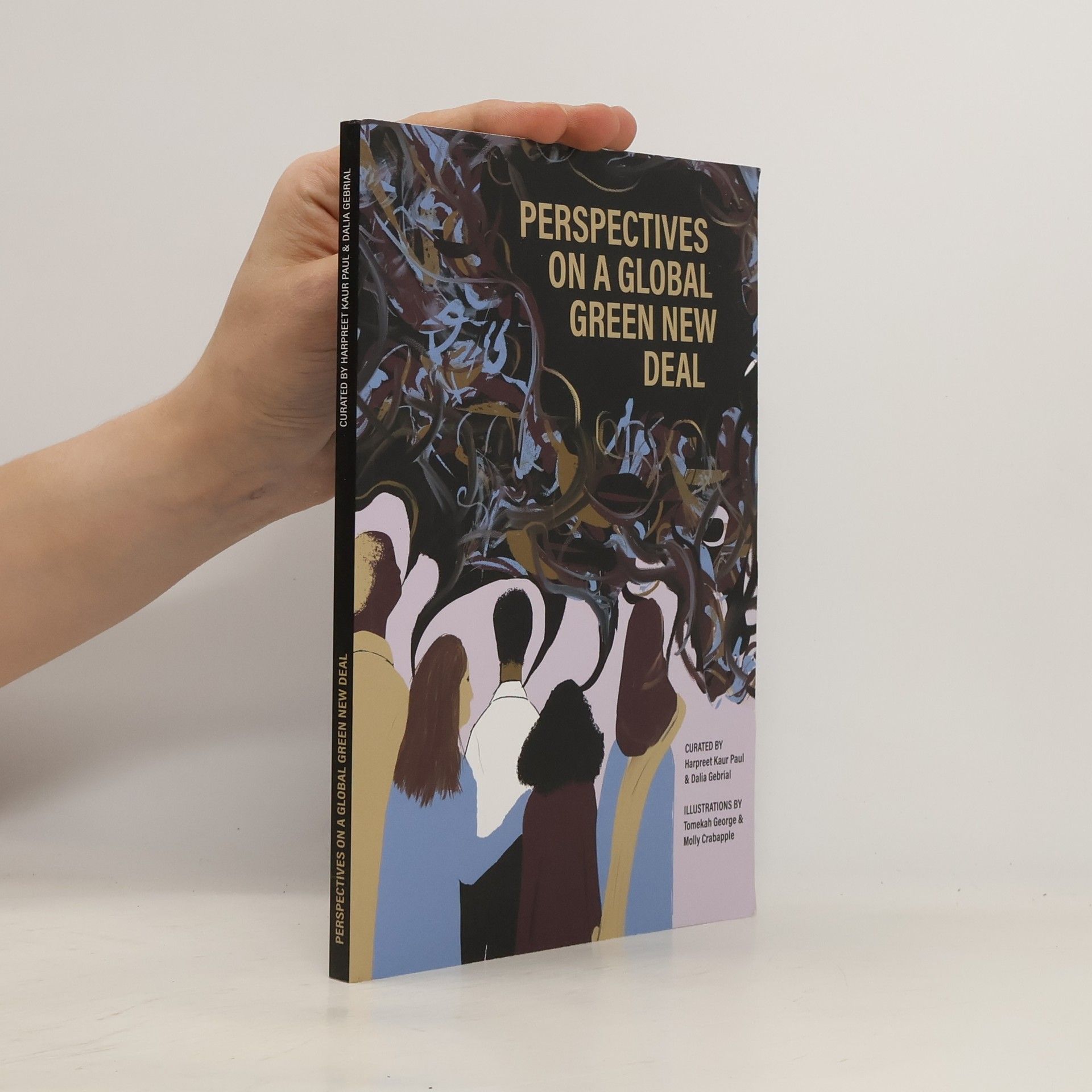 Kaur Paul Harpreet Perspectives on a Global Green New Deal