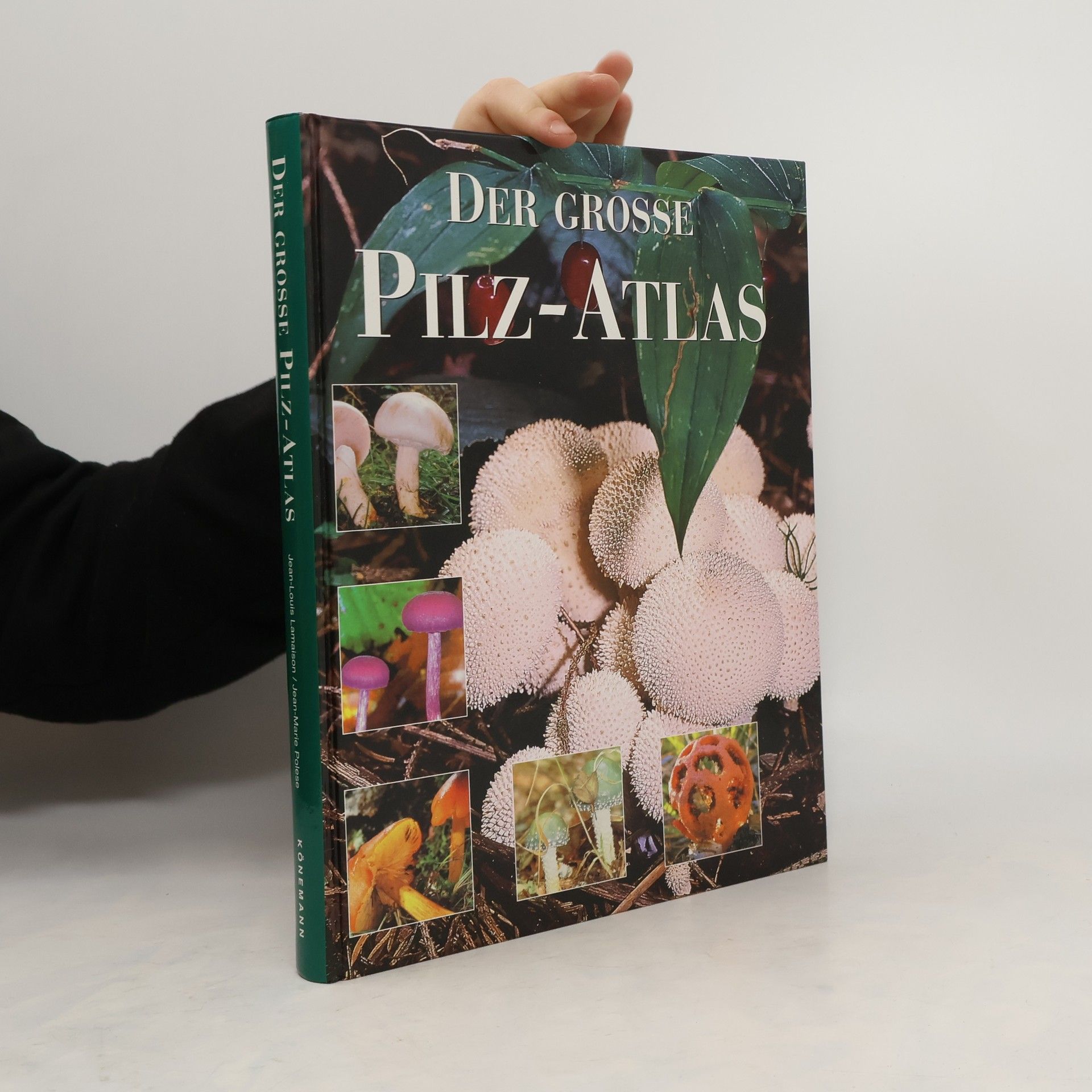 Marten Brandt Der große Pilz-Atlas