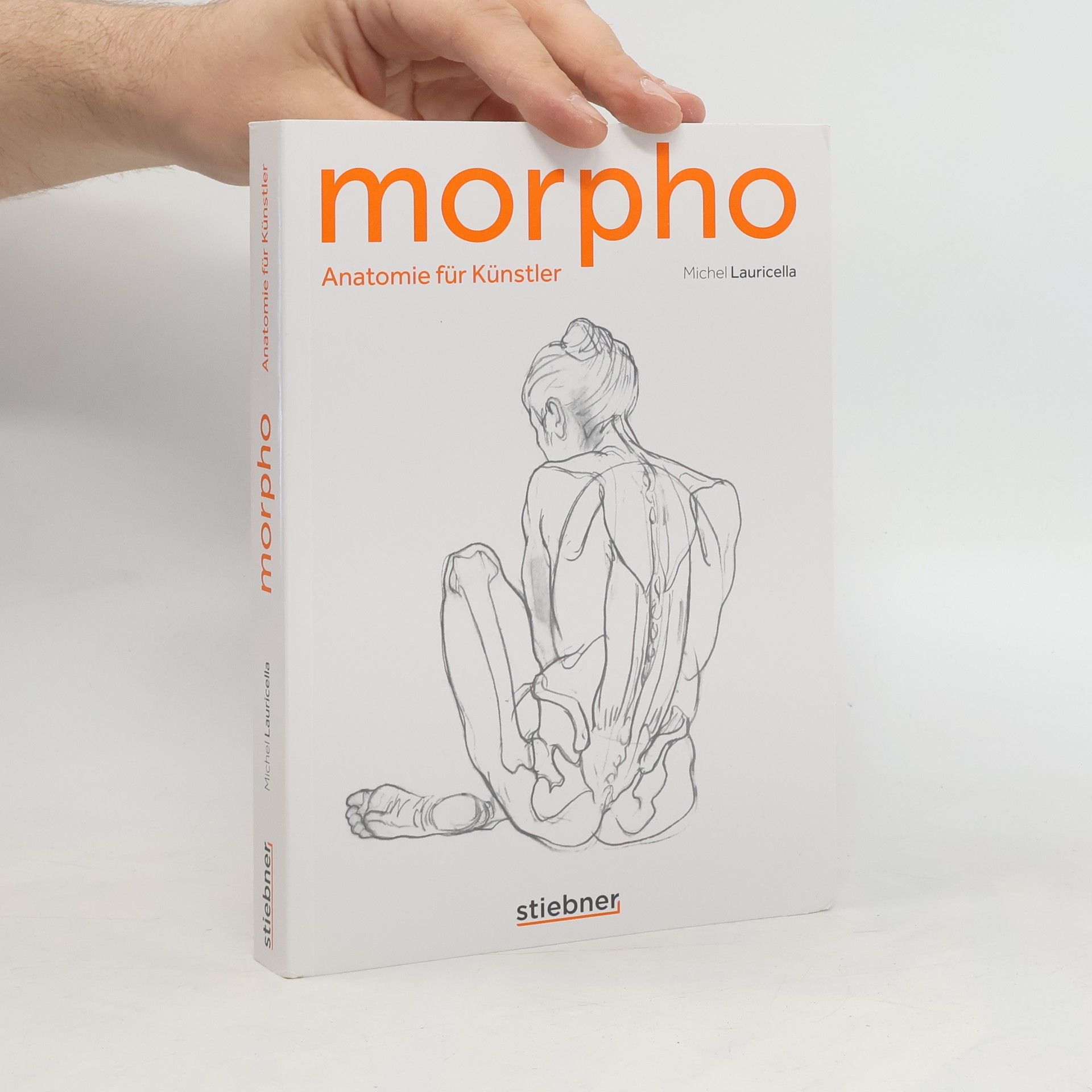 Michel Lauricella Morpho 1