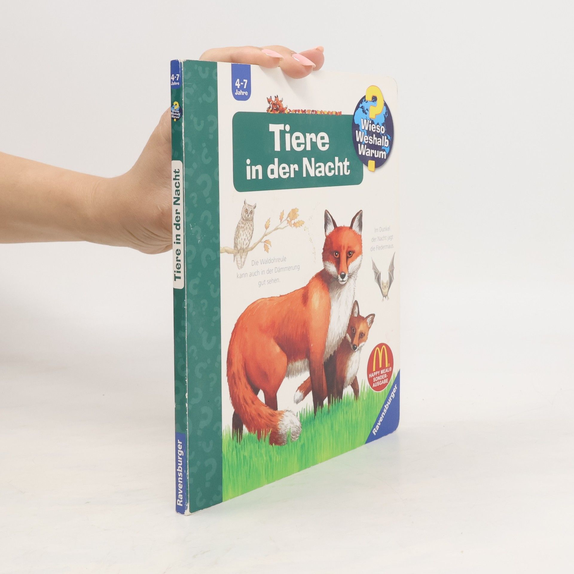 Collective Tiere in der Nacht