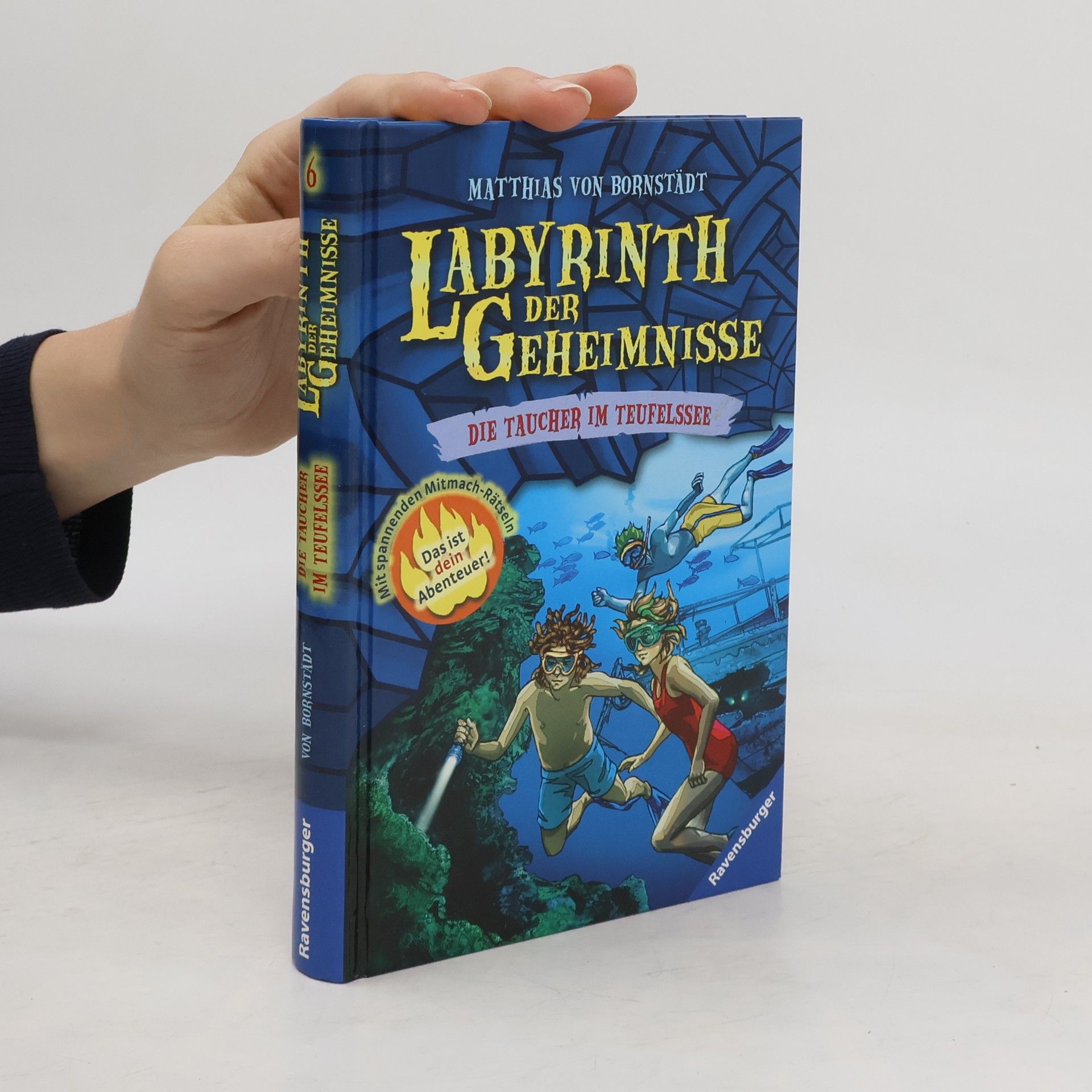 Matthias von Bornstädt Labyrinth der Geheimnisse: Die Taucher im Teufelssee