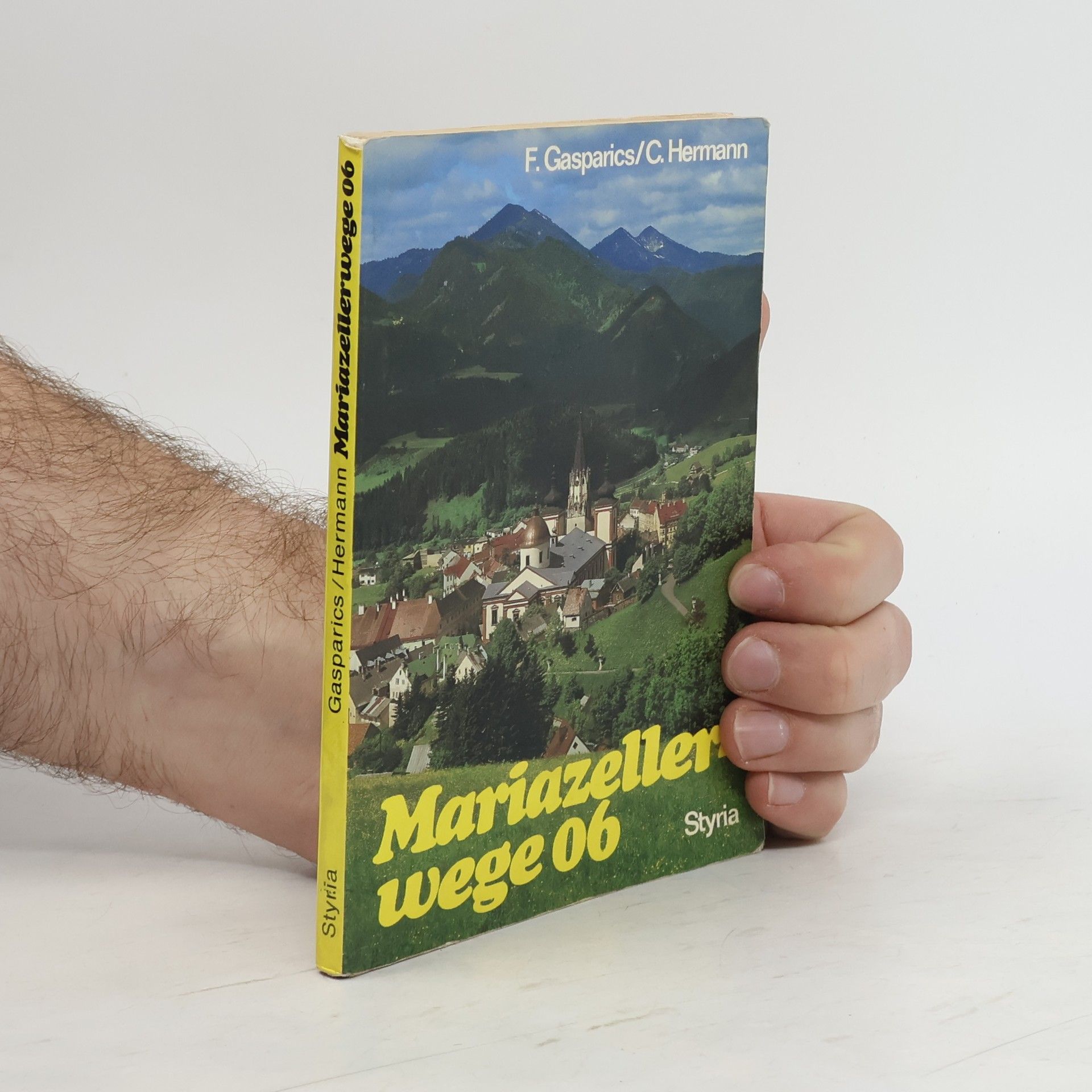 Franz Gasparics Mariazeller Wege 06 [null sechs]
