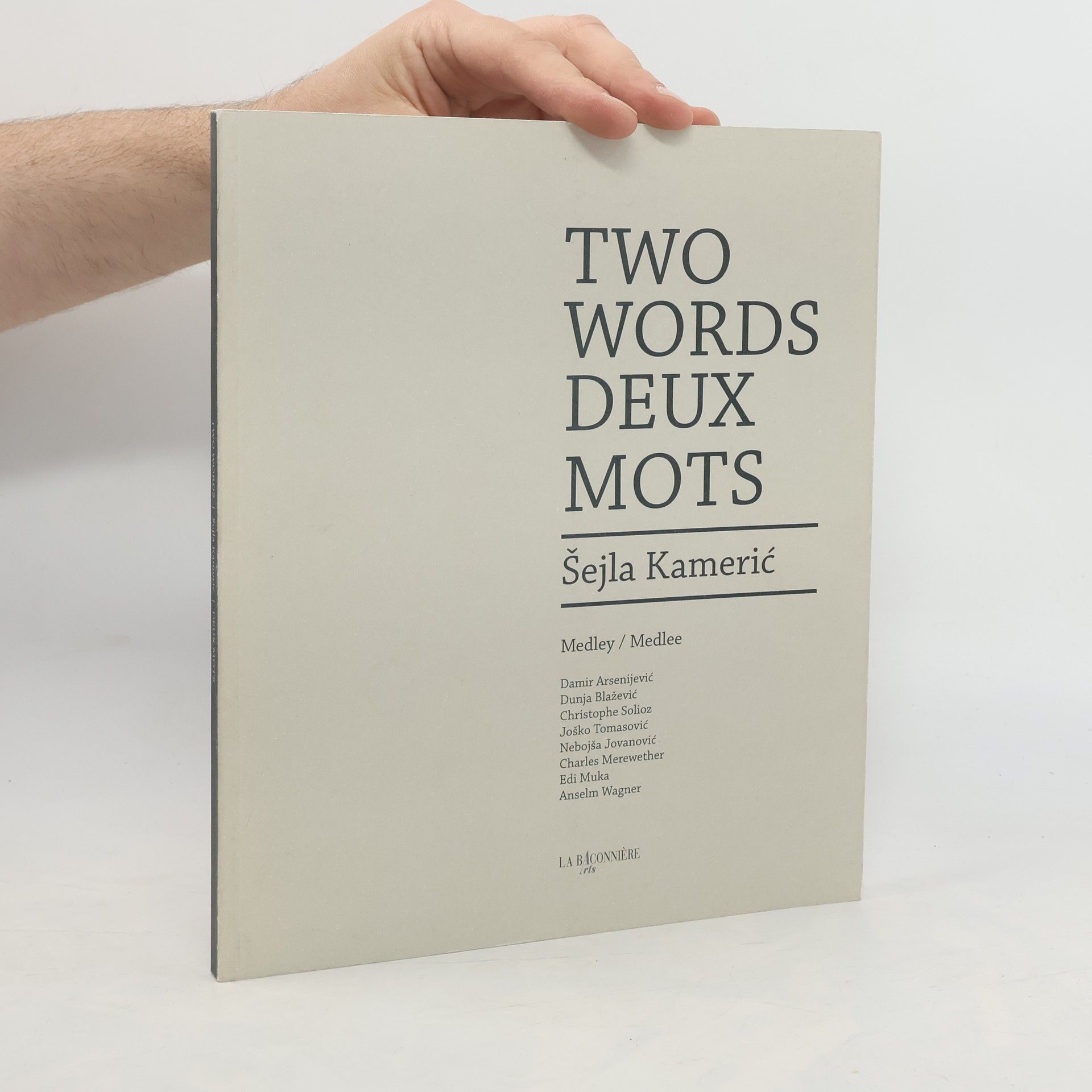 Damir Arsenijevic Two words. Deux Mots