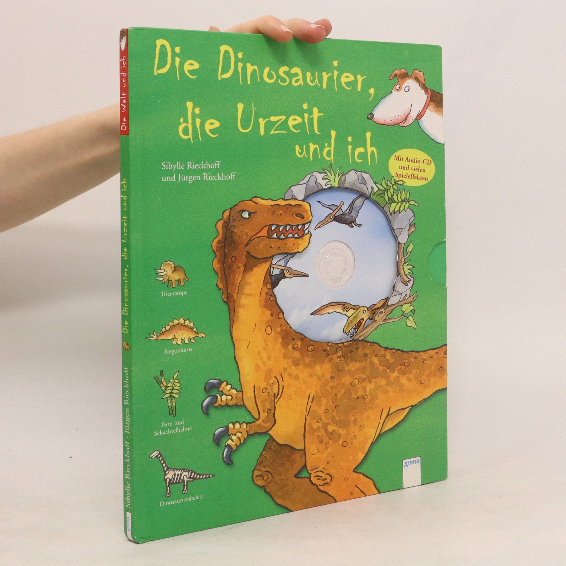 Sibylle Rieckhoff Die Dinosaurier, die Urzeit und ich