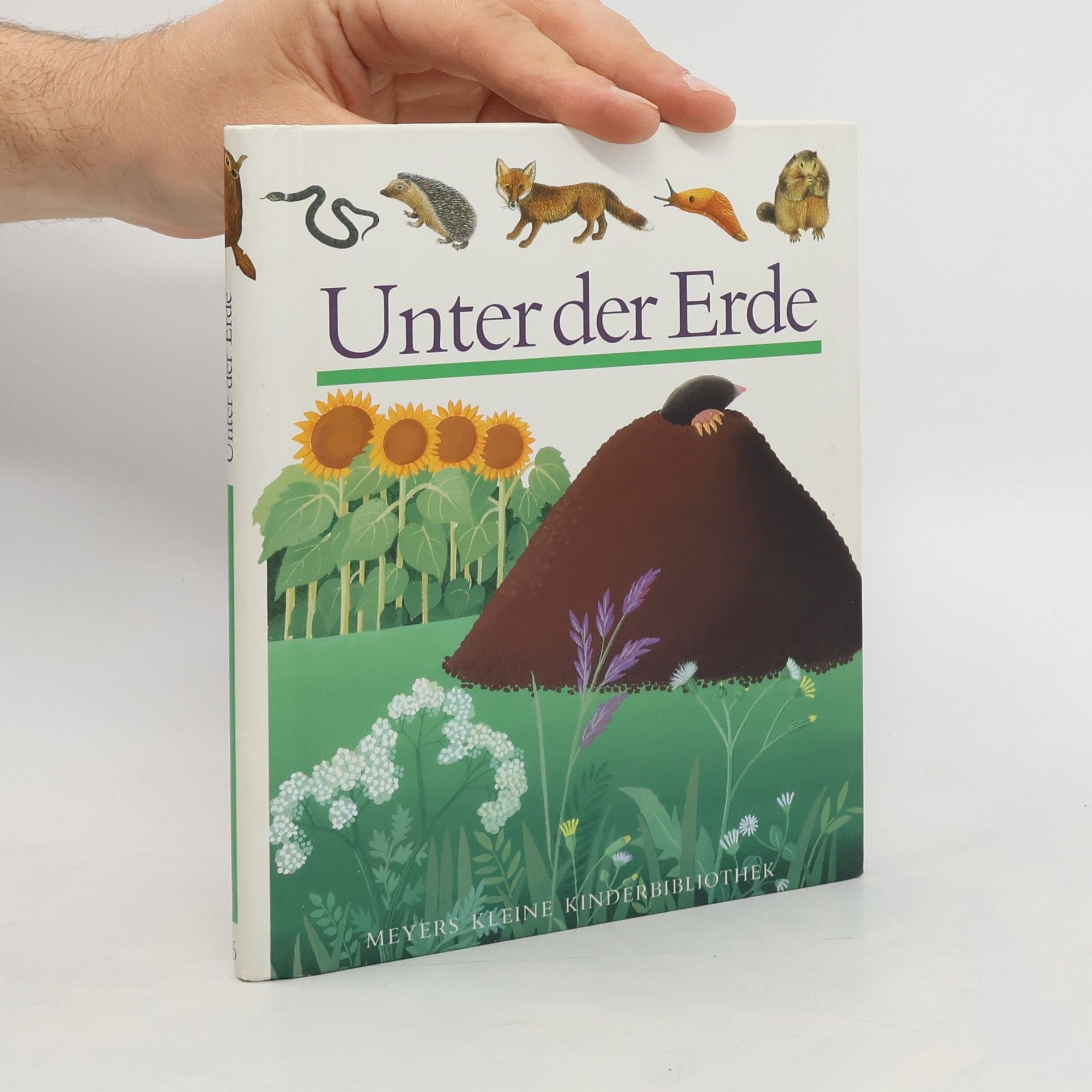 kolektiv Unter der Erde