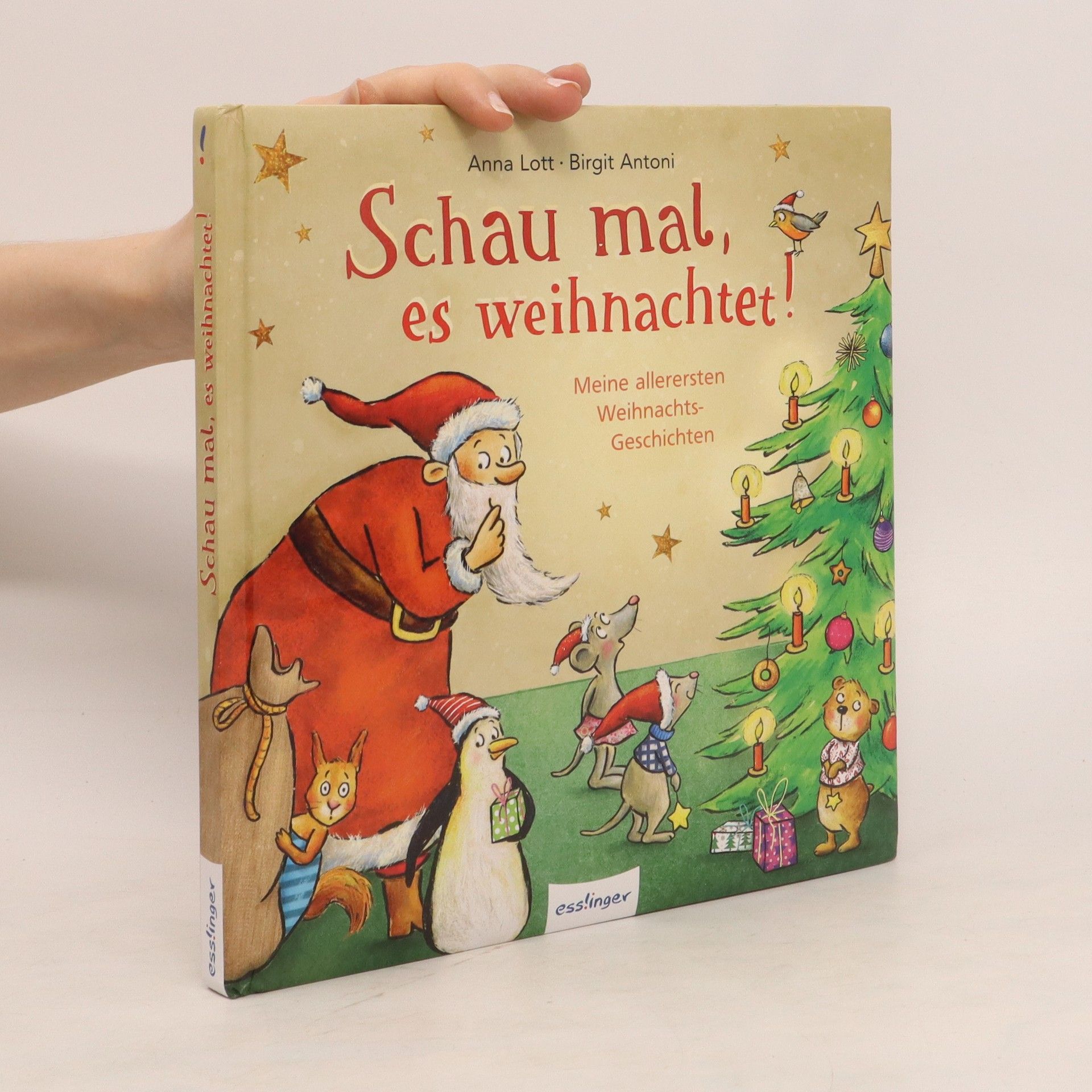 Anna Lott Schau mal, es weihnachtet!
