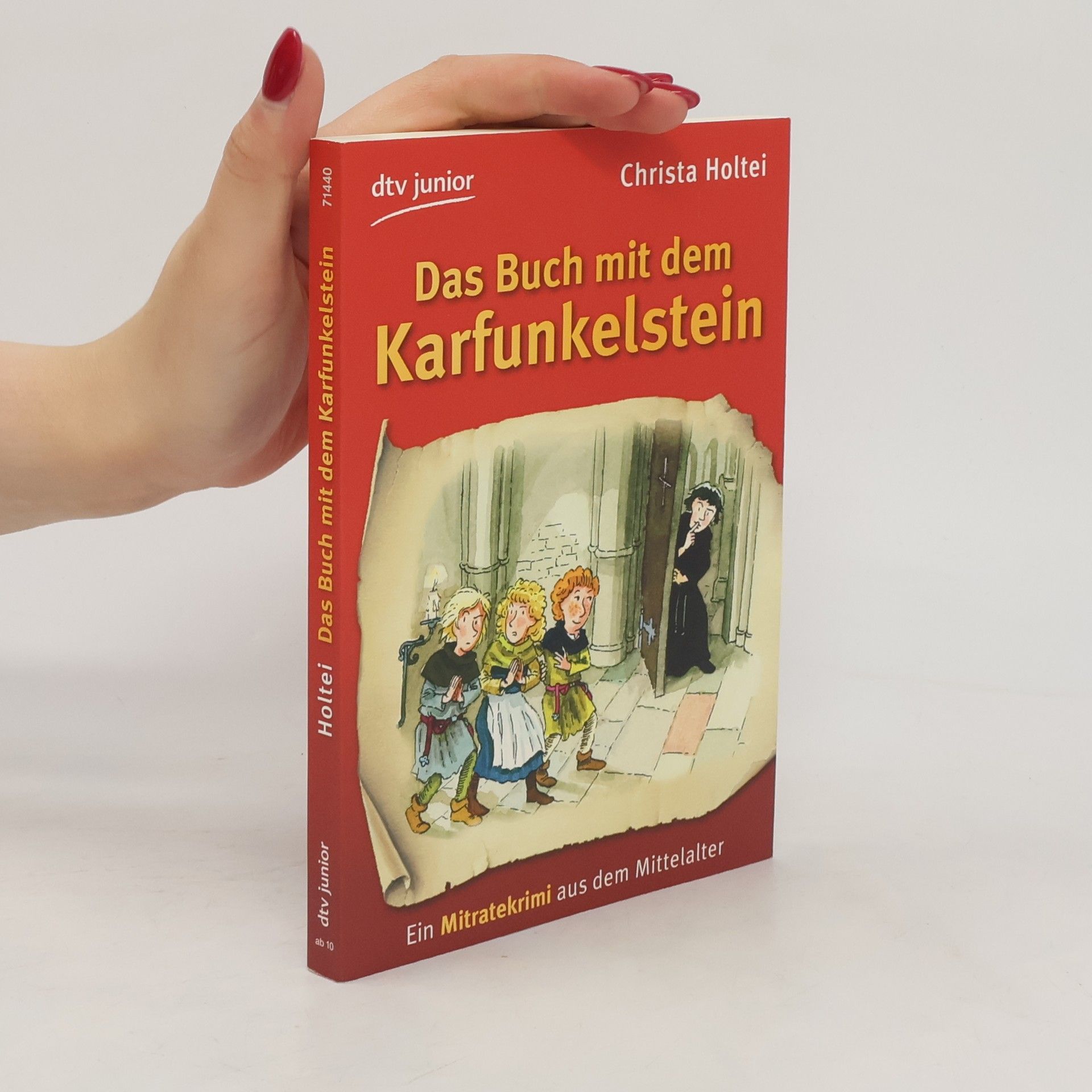 Christa Holtei Das Buch mit dem Karfunkelstein