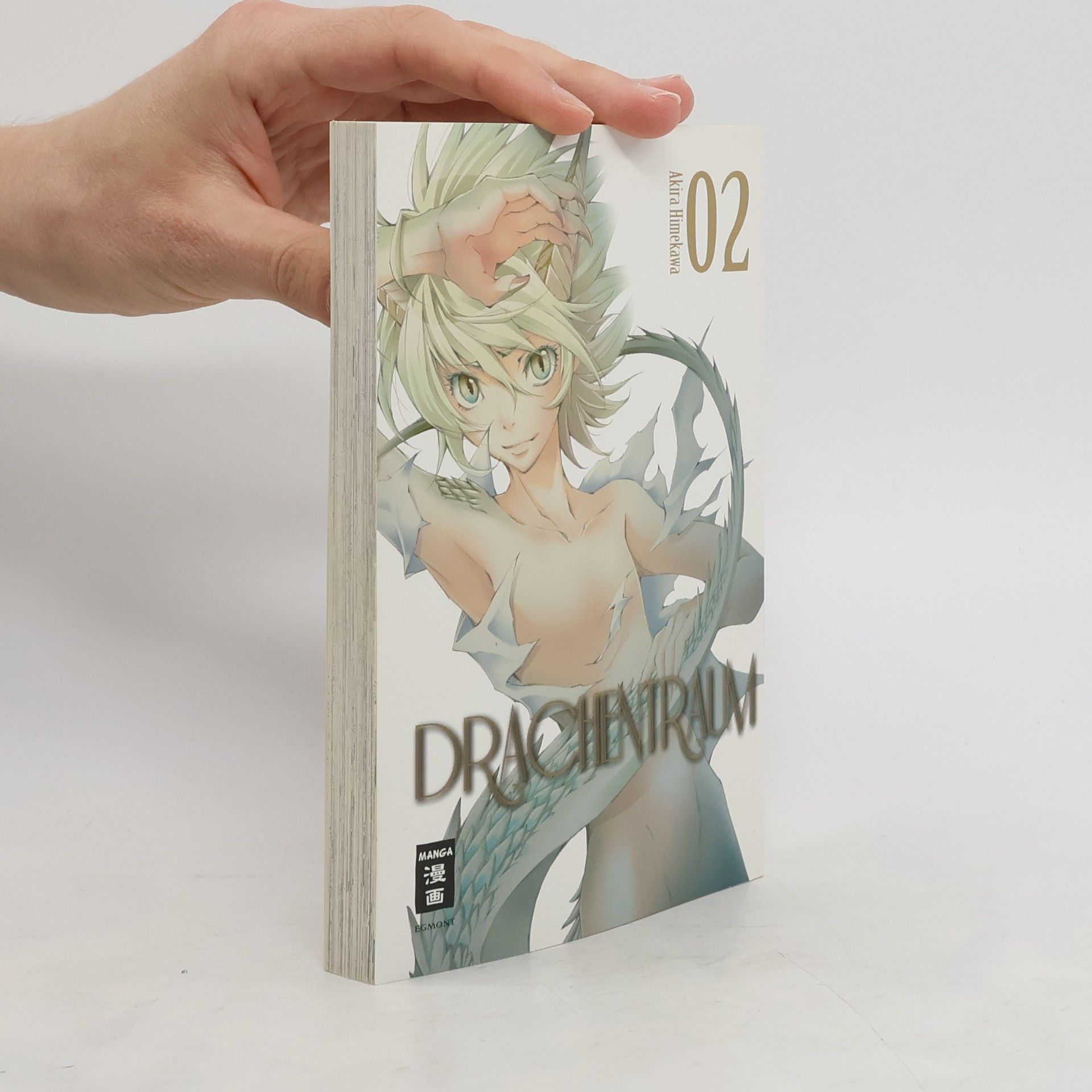 Akira Himekawa Drachentraum 2