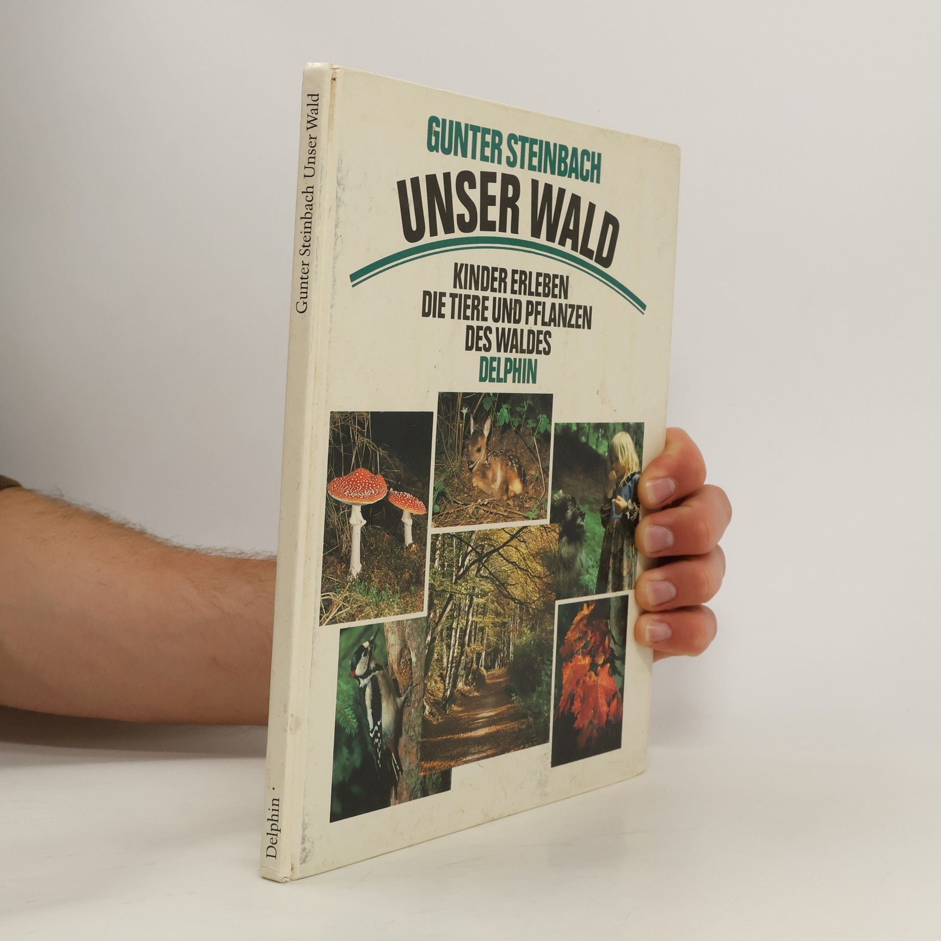Gunter Steinbach Unser Wald. Kinder erleben die Tiere und Pflanzen des Waldes