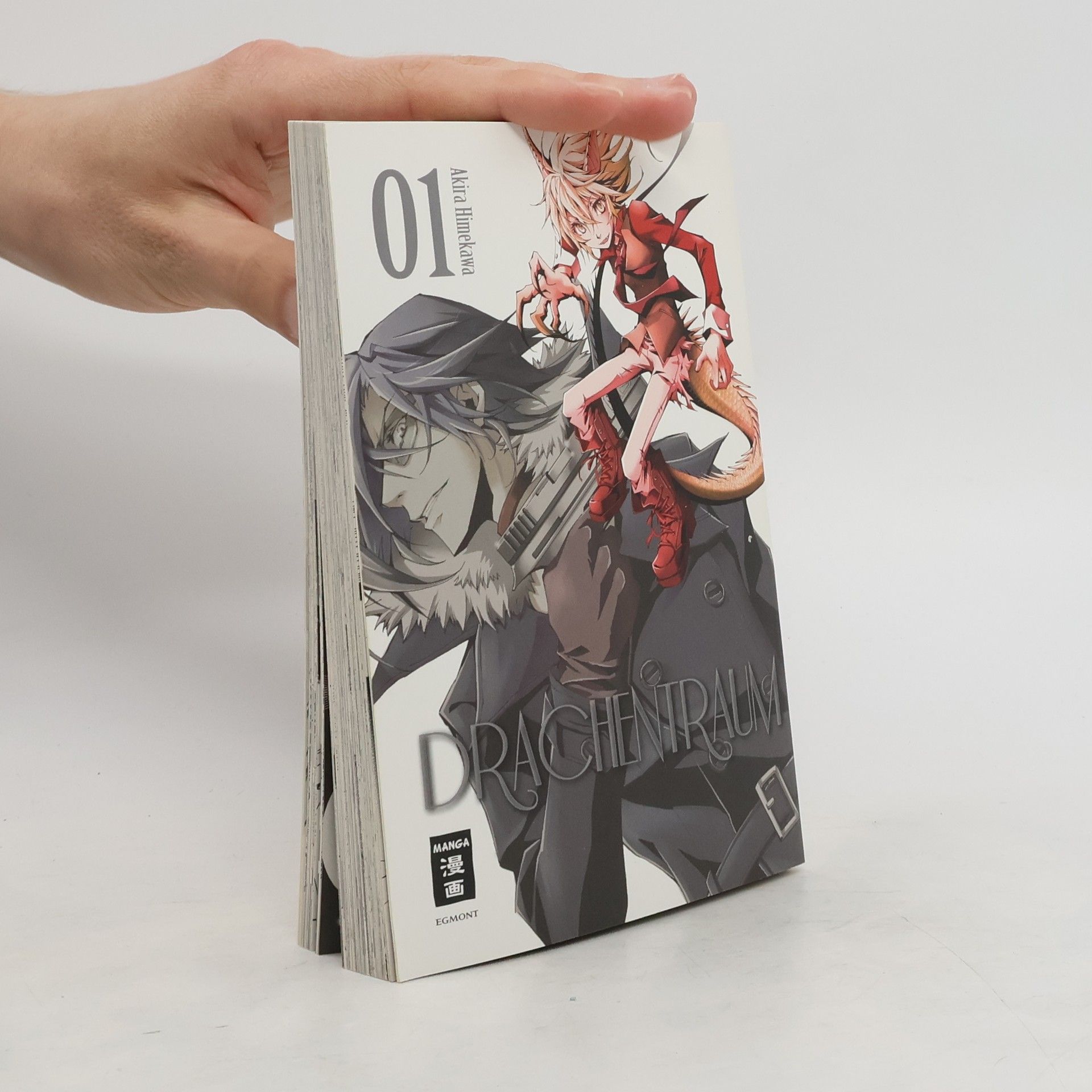 Akira Himekawa Drachentraum 1