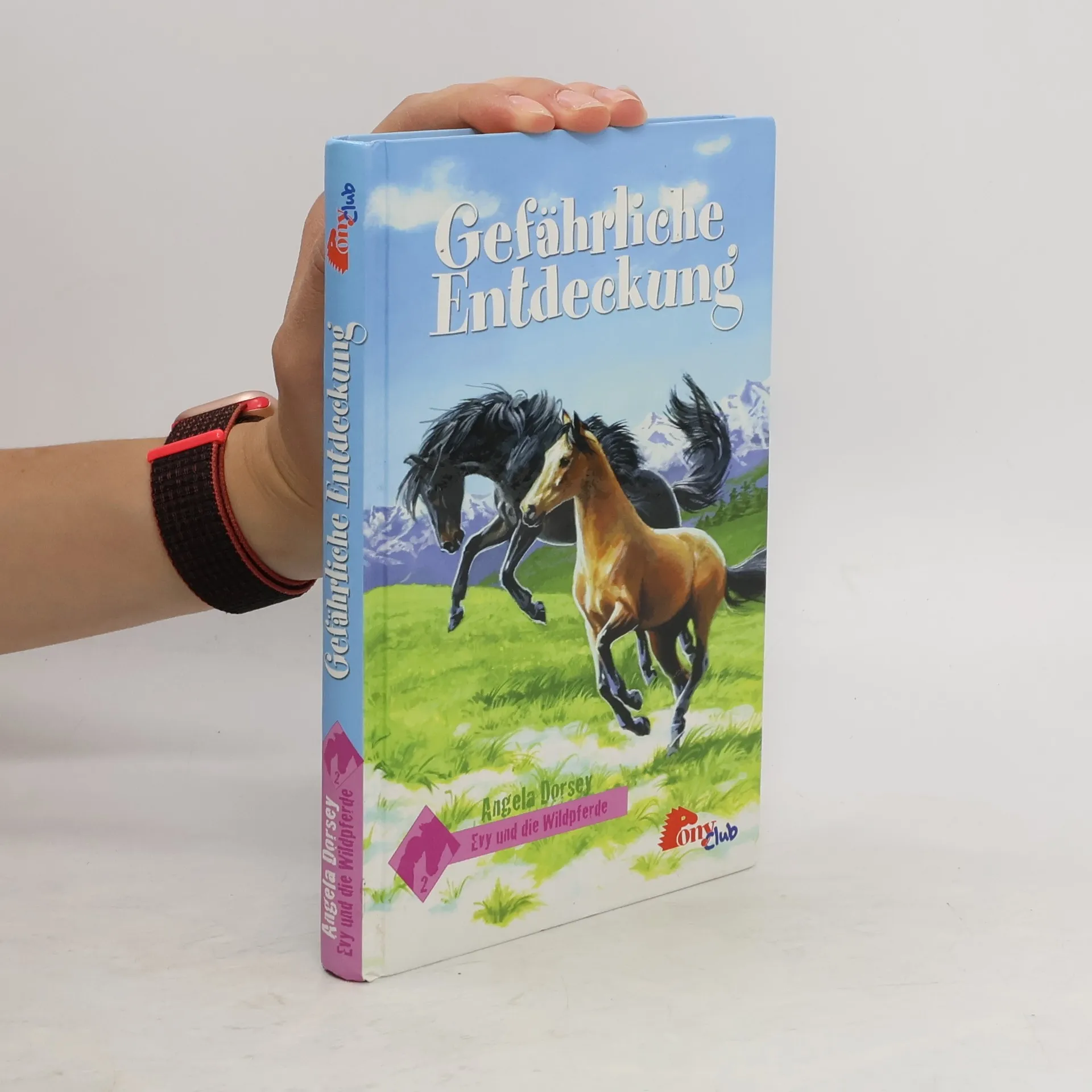 Gefährliche Entdeckung. Evy und die Wildpferde 2 | Book | Hardcover | Angela Dorsey | DE