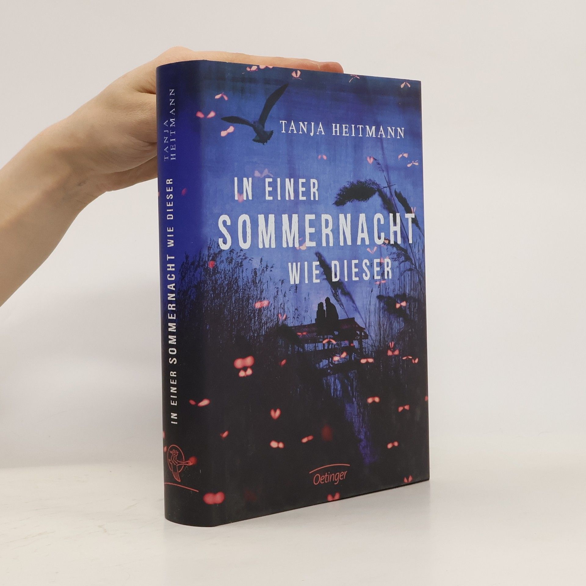 Tanja Heitmann In einer Sommernacht wie dieser