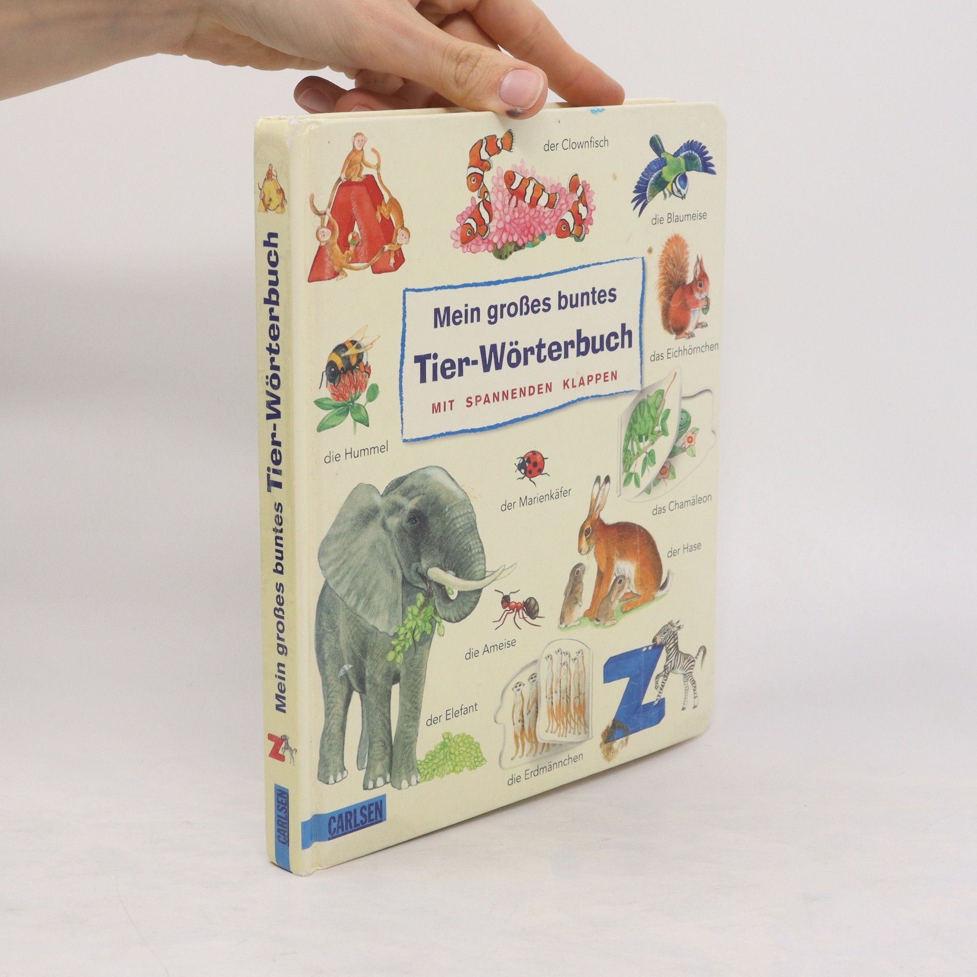 Lucia Fischer Mein großes buntes Tier-Wörterbuch