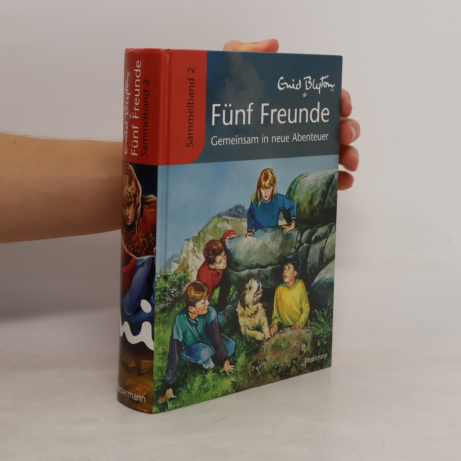 Werner Lincke Fünf Freunde