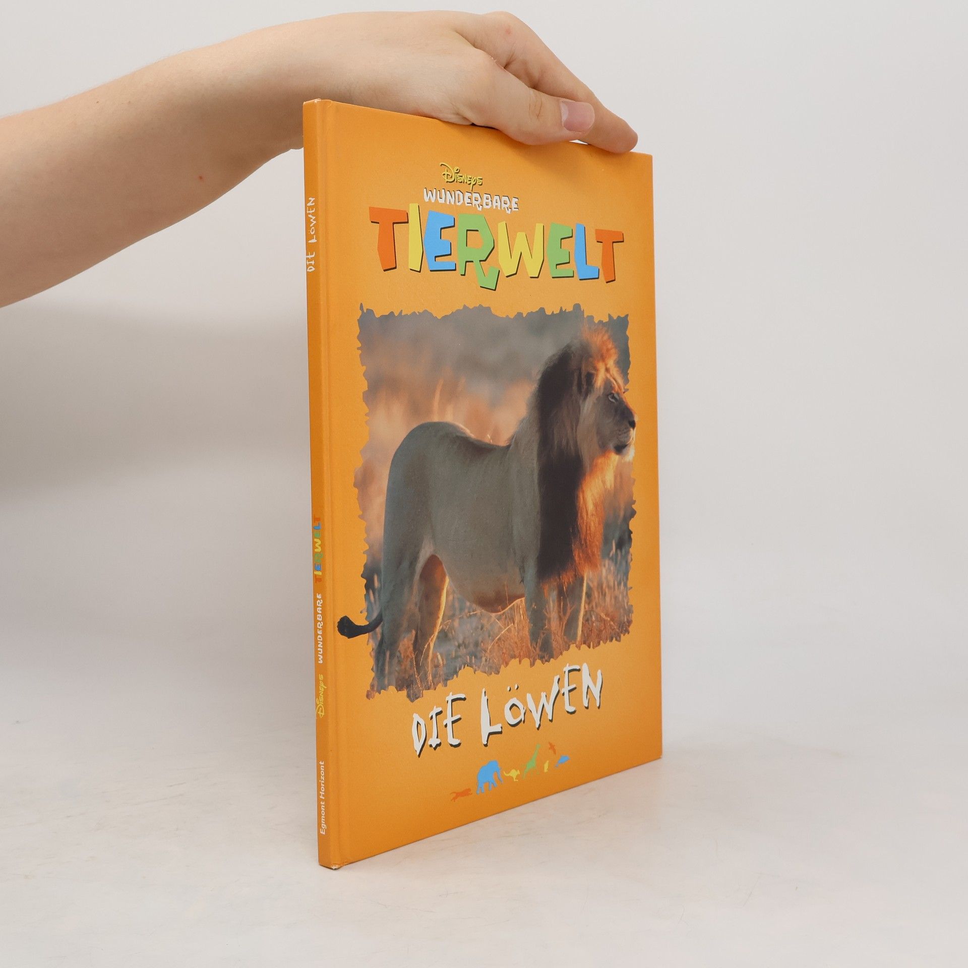 Collectif d'auteurs Die Löwen