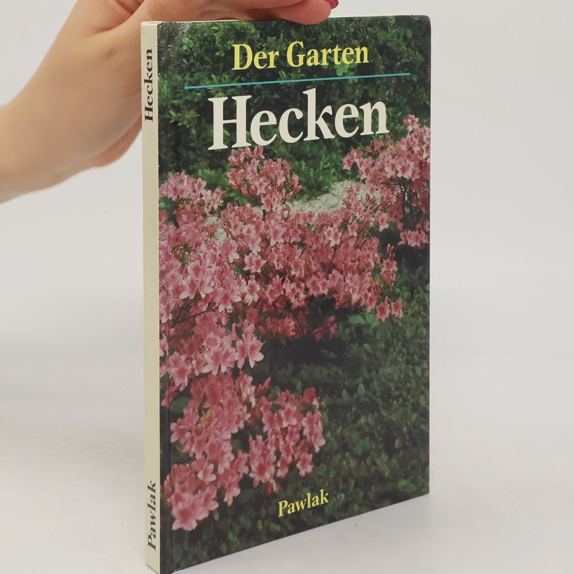 Ute York Hecken