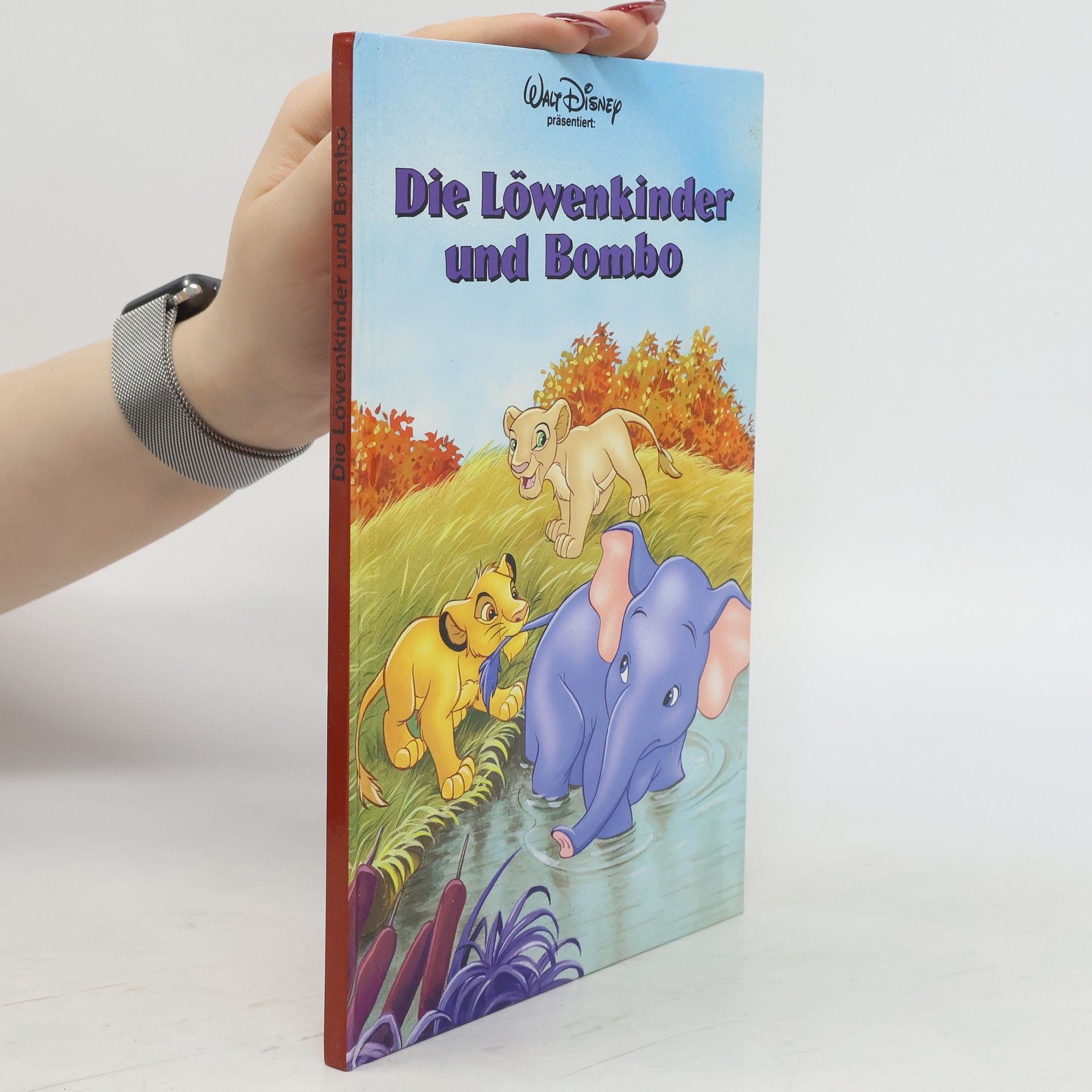 kolektiv Die Löwenkinder und Bombo