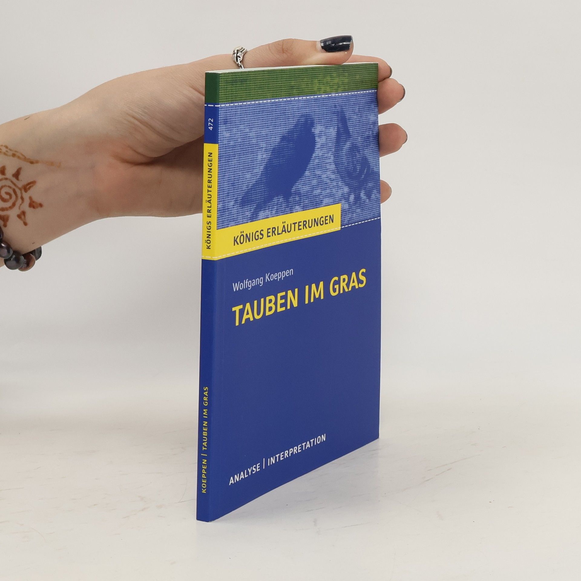 Horst Grobe Interpretation zu Wolfgang Koeppen 'Tauben im Gras'