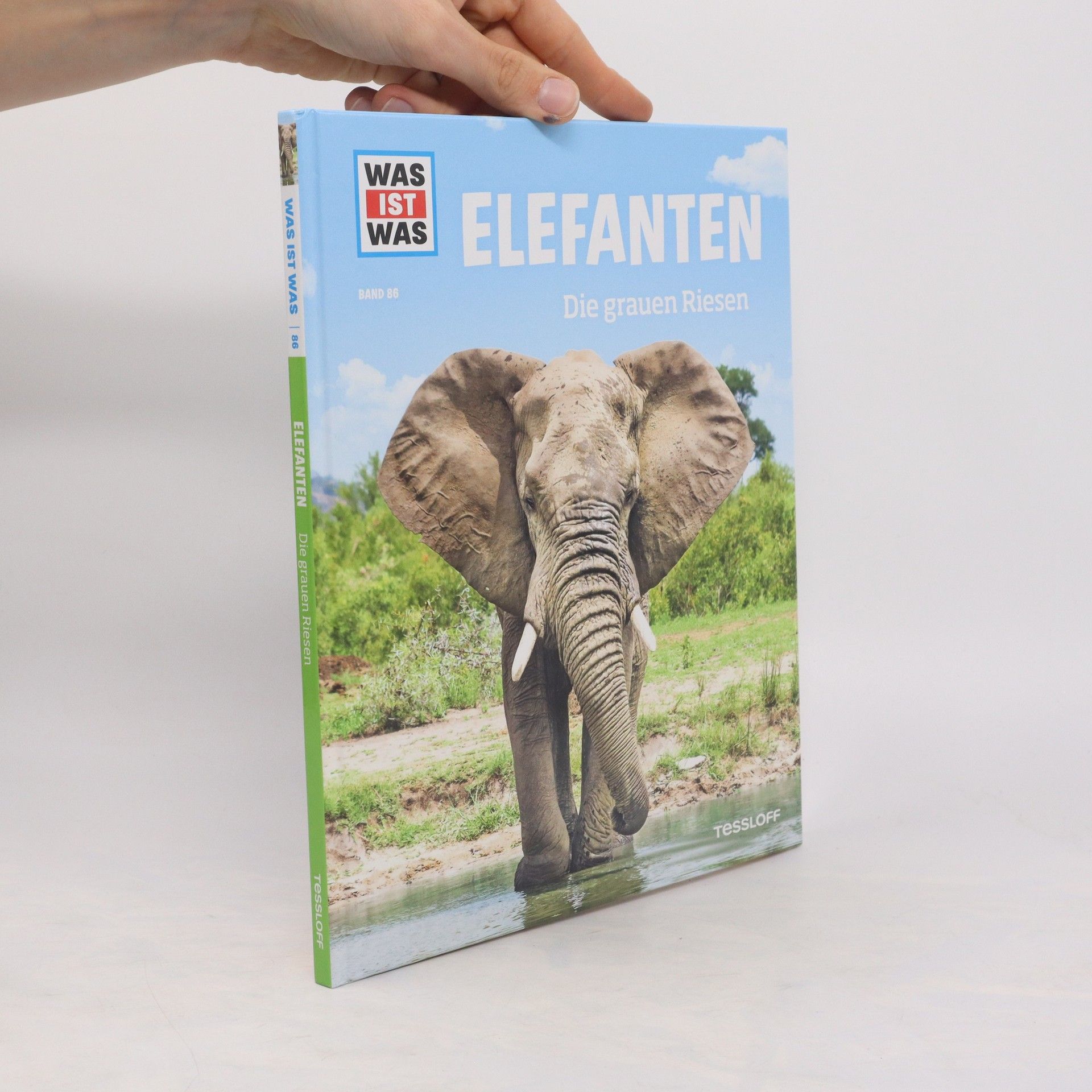 Andrea Weller-Essers Elefanten