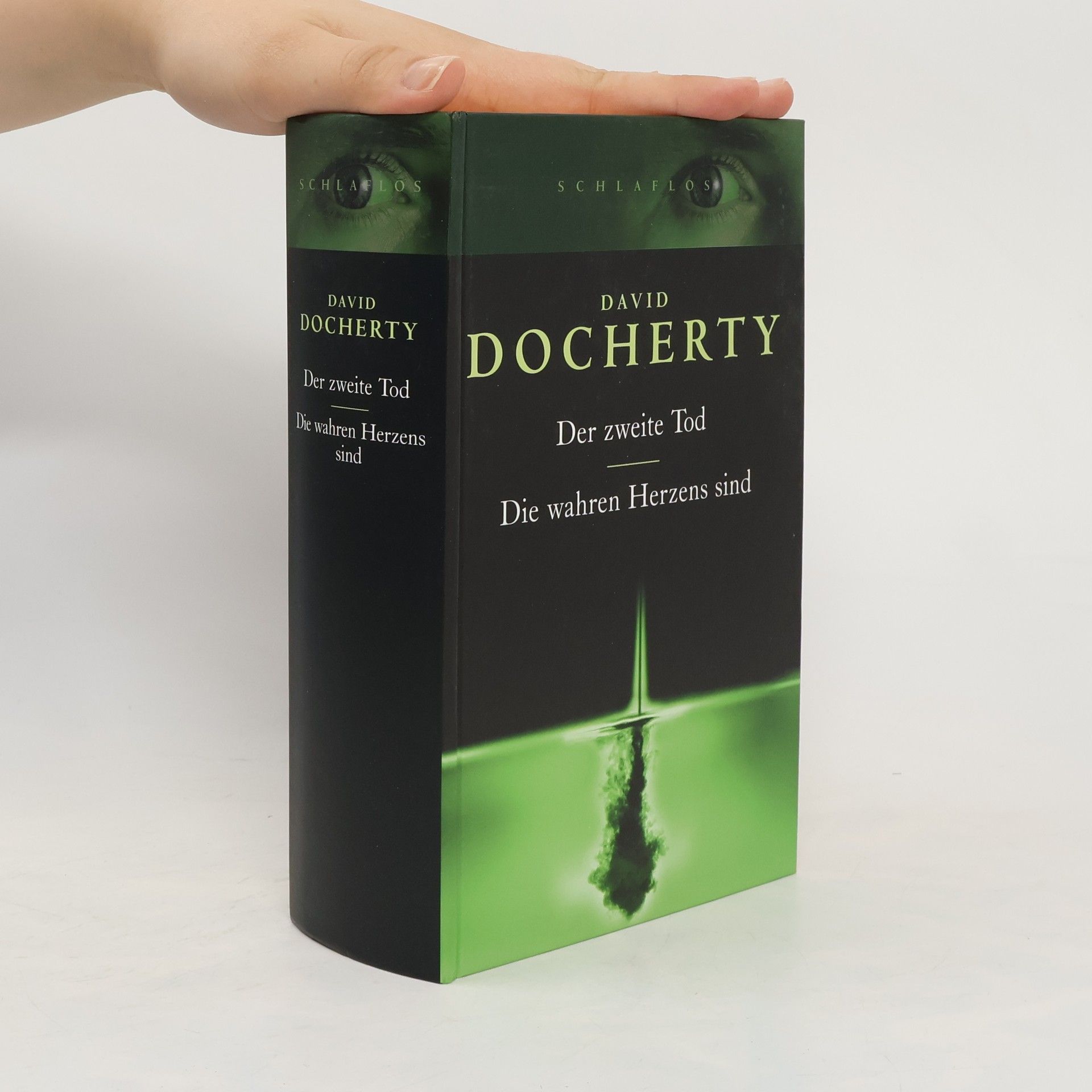 David Docherty Der zweite Tod