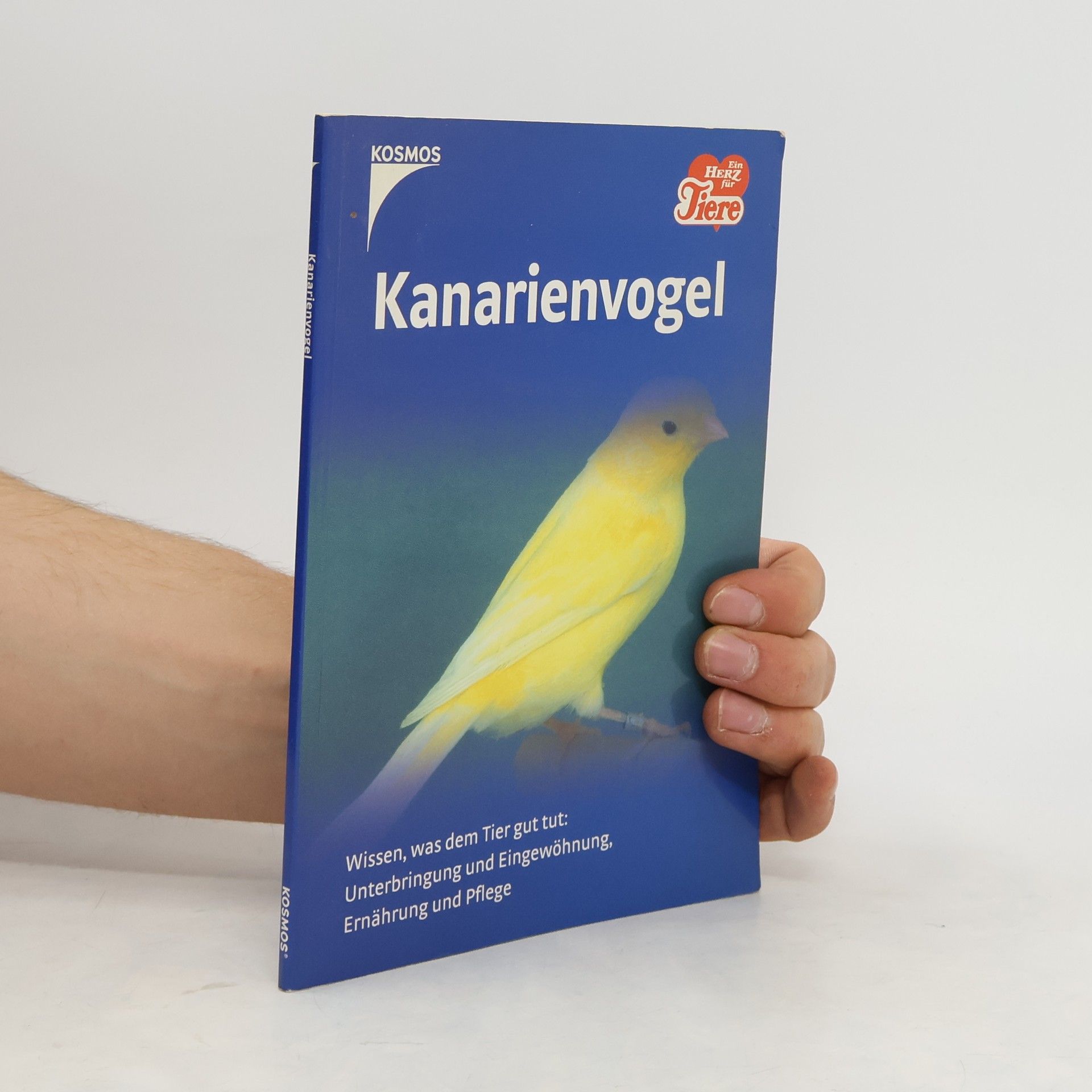Rob Doolaard Kanarienvogel