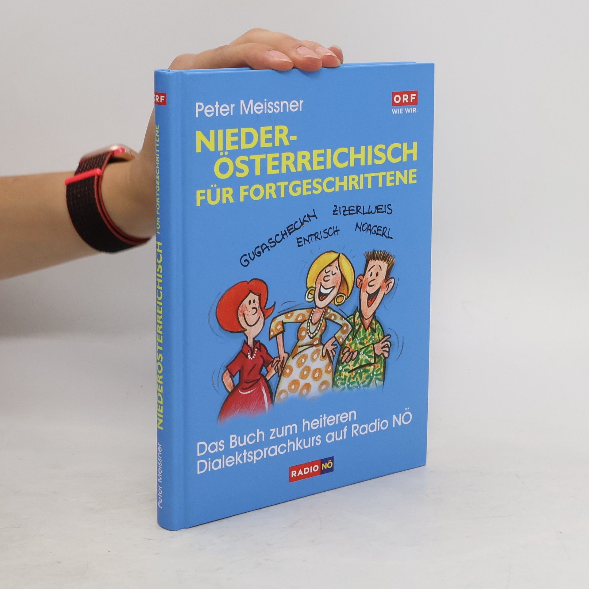 Peter Meissner Niederösterreichisch für Fortgeschrittene