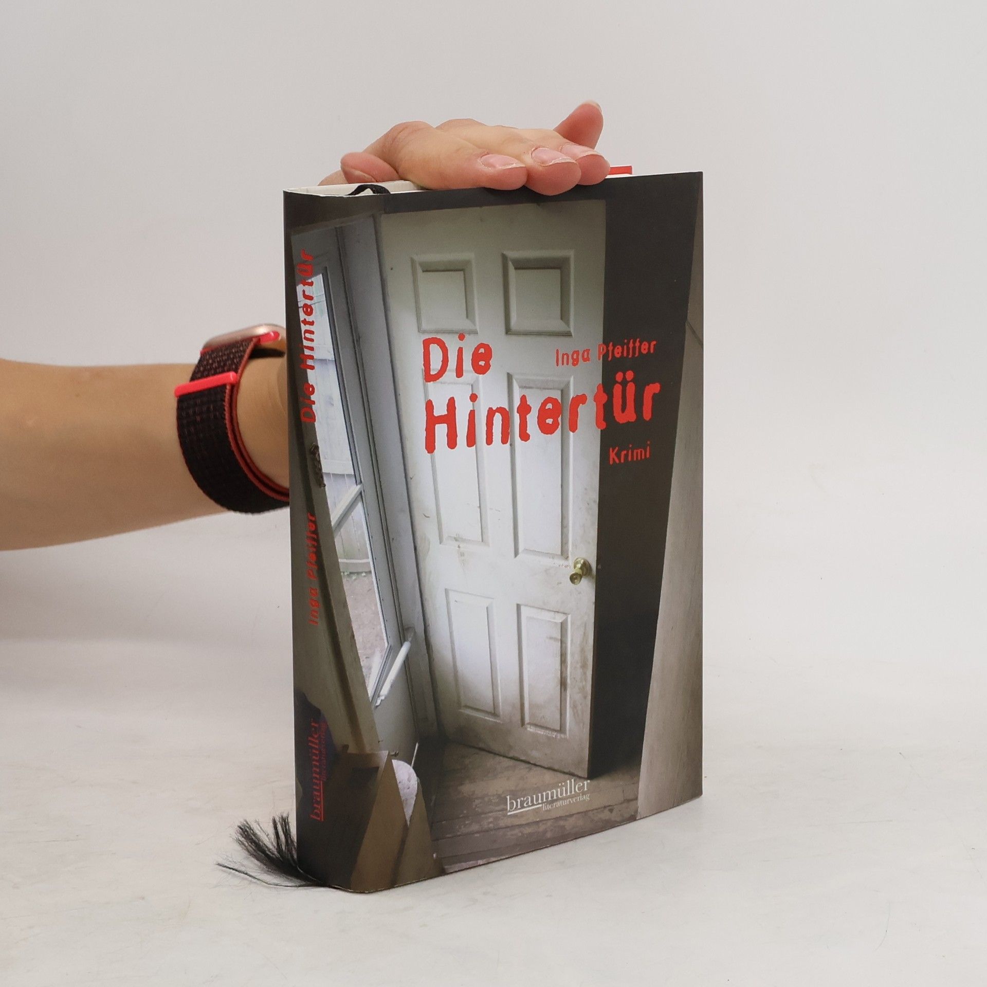 Ingrid Schoefinius-Pfeiffer “Die” Hintertür