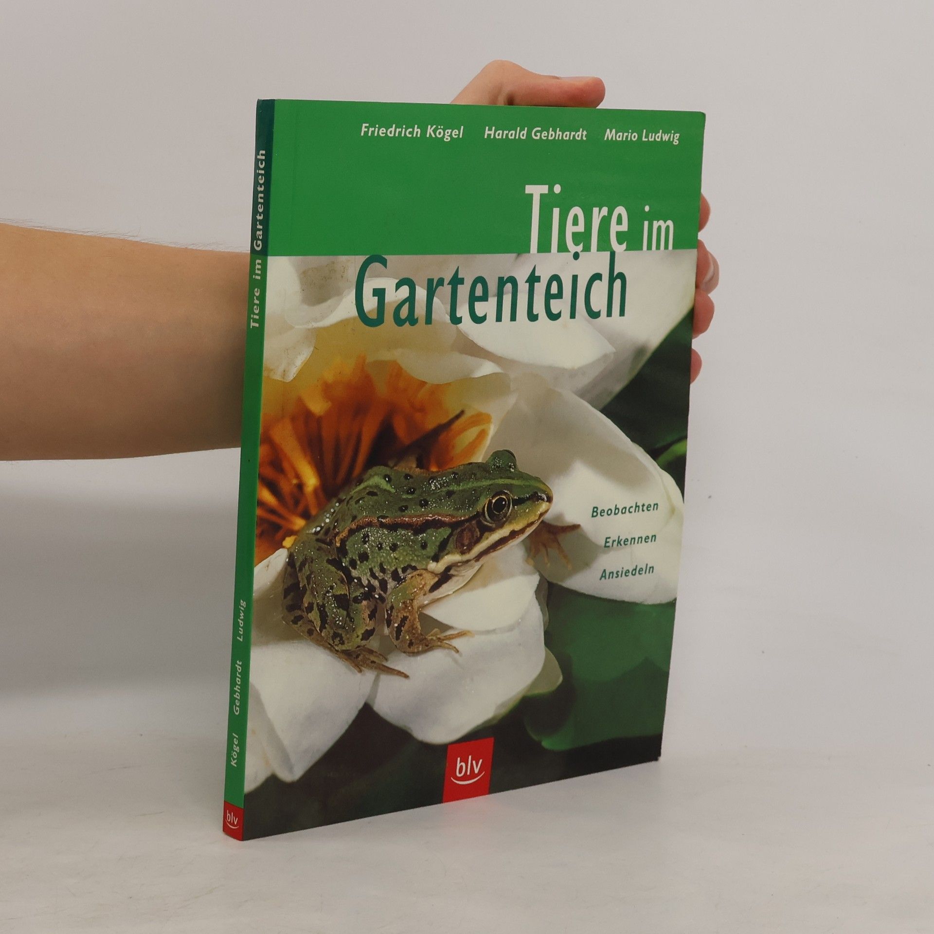 Friedrich Kögel Tiere im Gartenteich