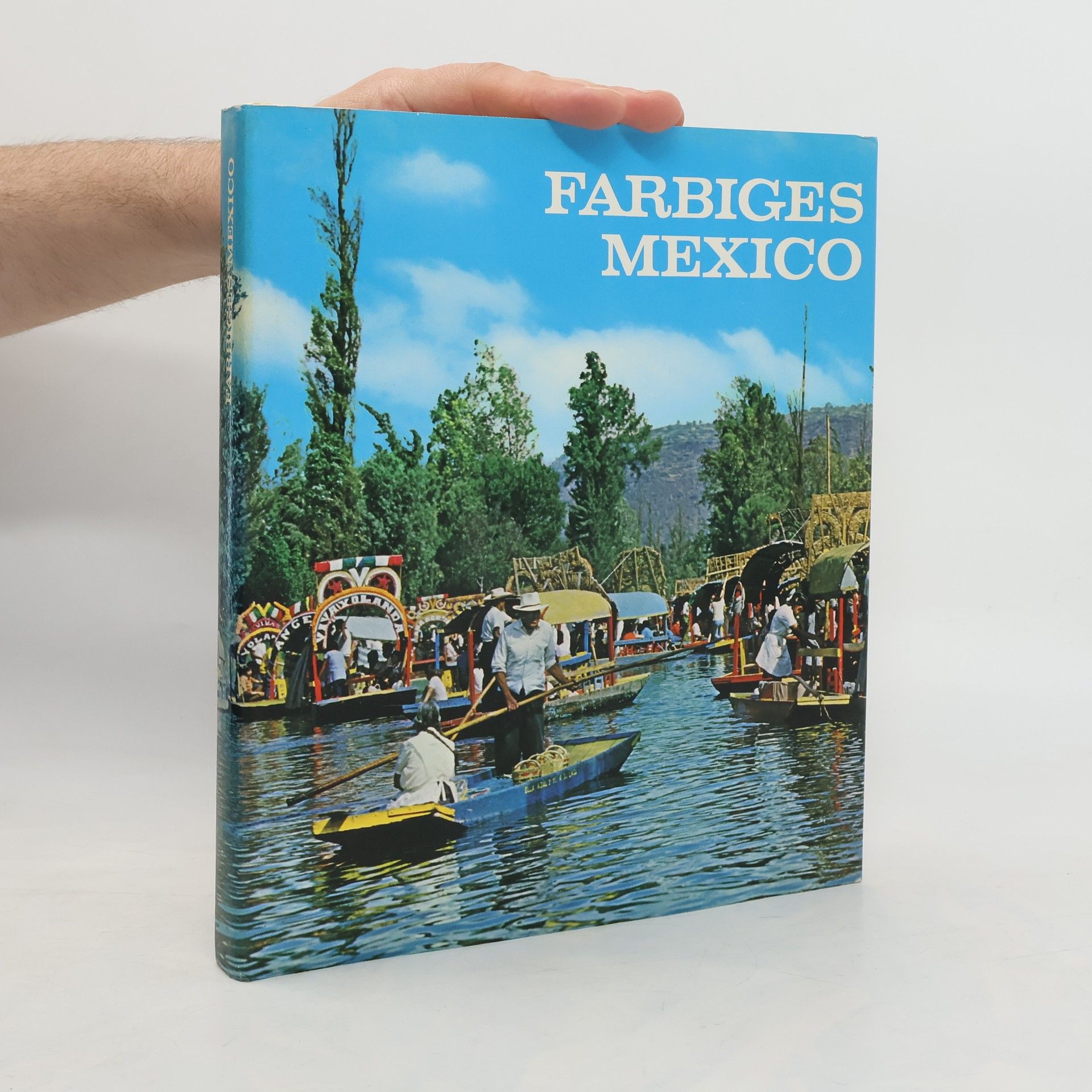 Collectif d'auteurs Farbiges Mexico