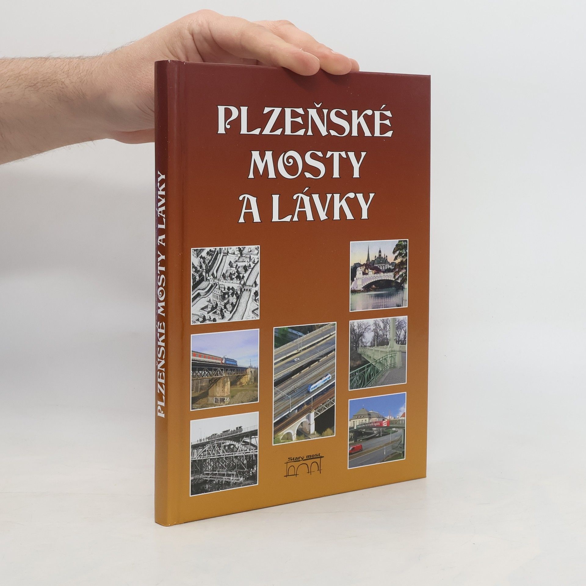 Miroslav Liška Plzeňské mosty a lávky