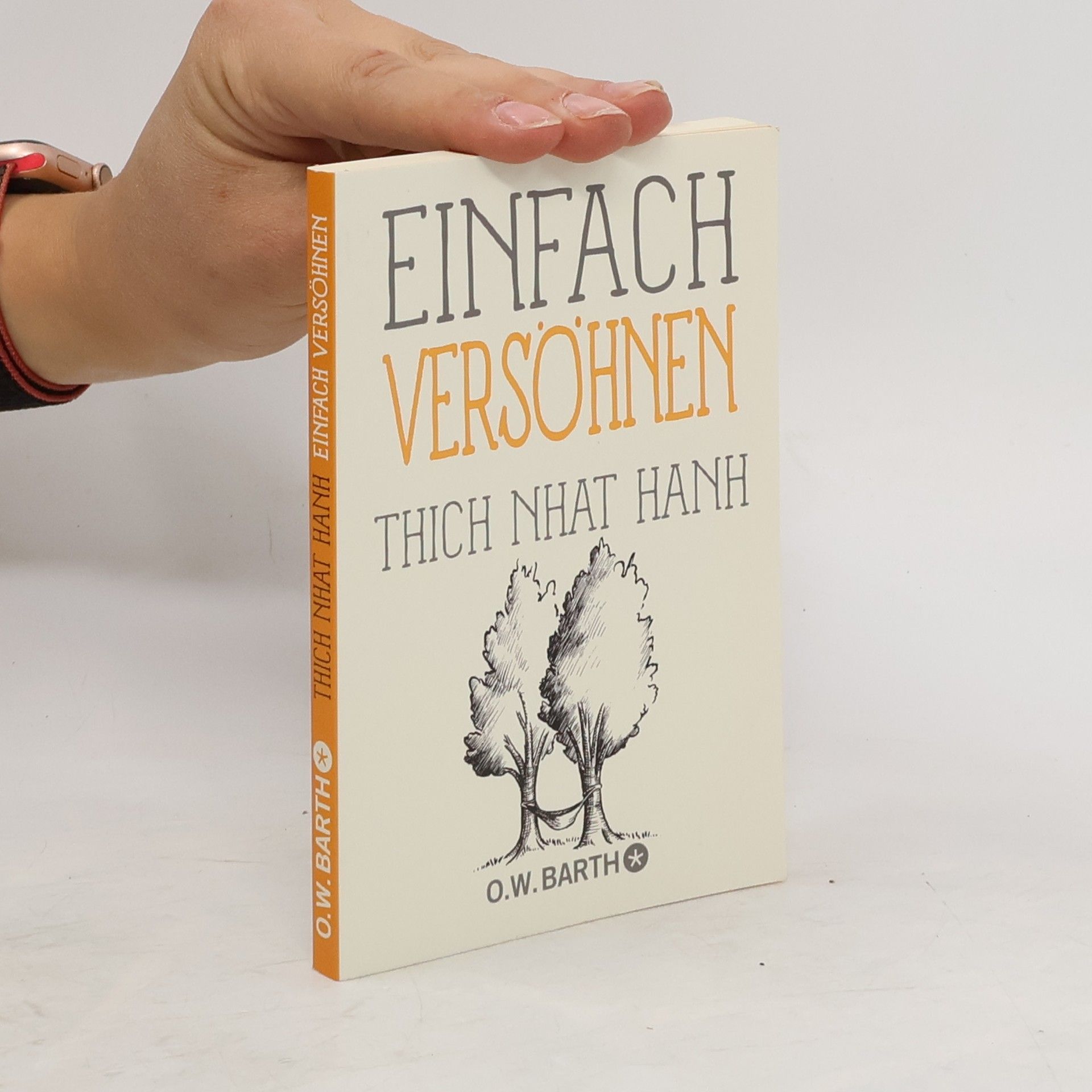 Hạnh Nhat Einfach versöhnen
