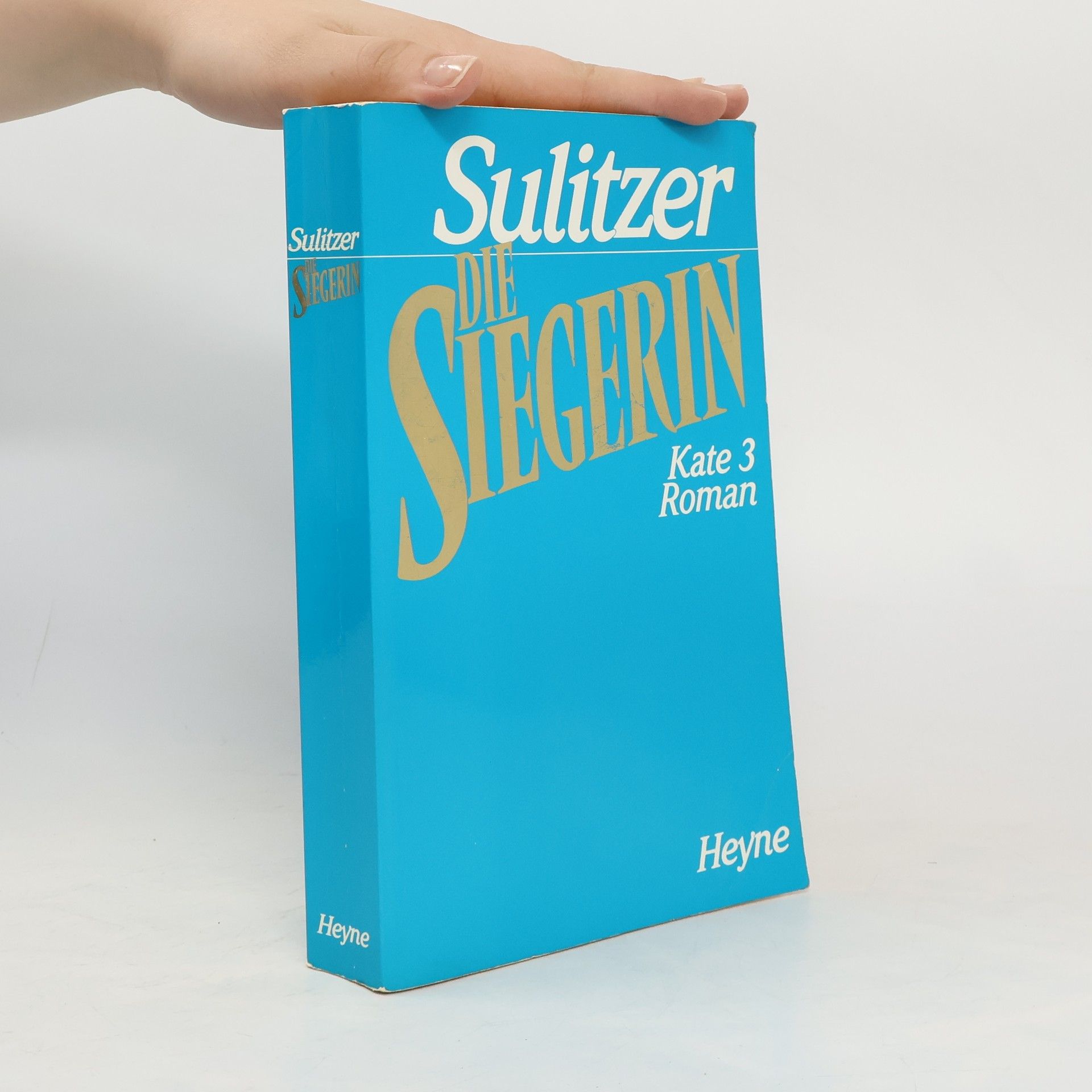 Paul Loup Sulitzer Die Siegerin Kate 3
