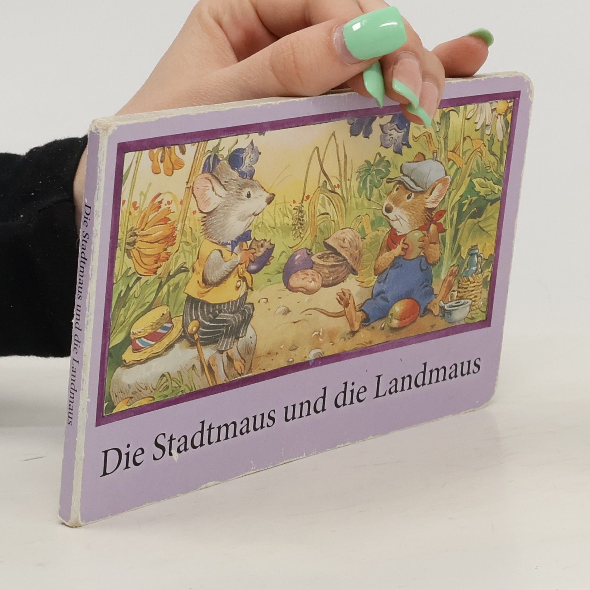 kolektiv Die Stadtmaus und die Landmaus