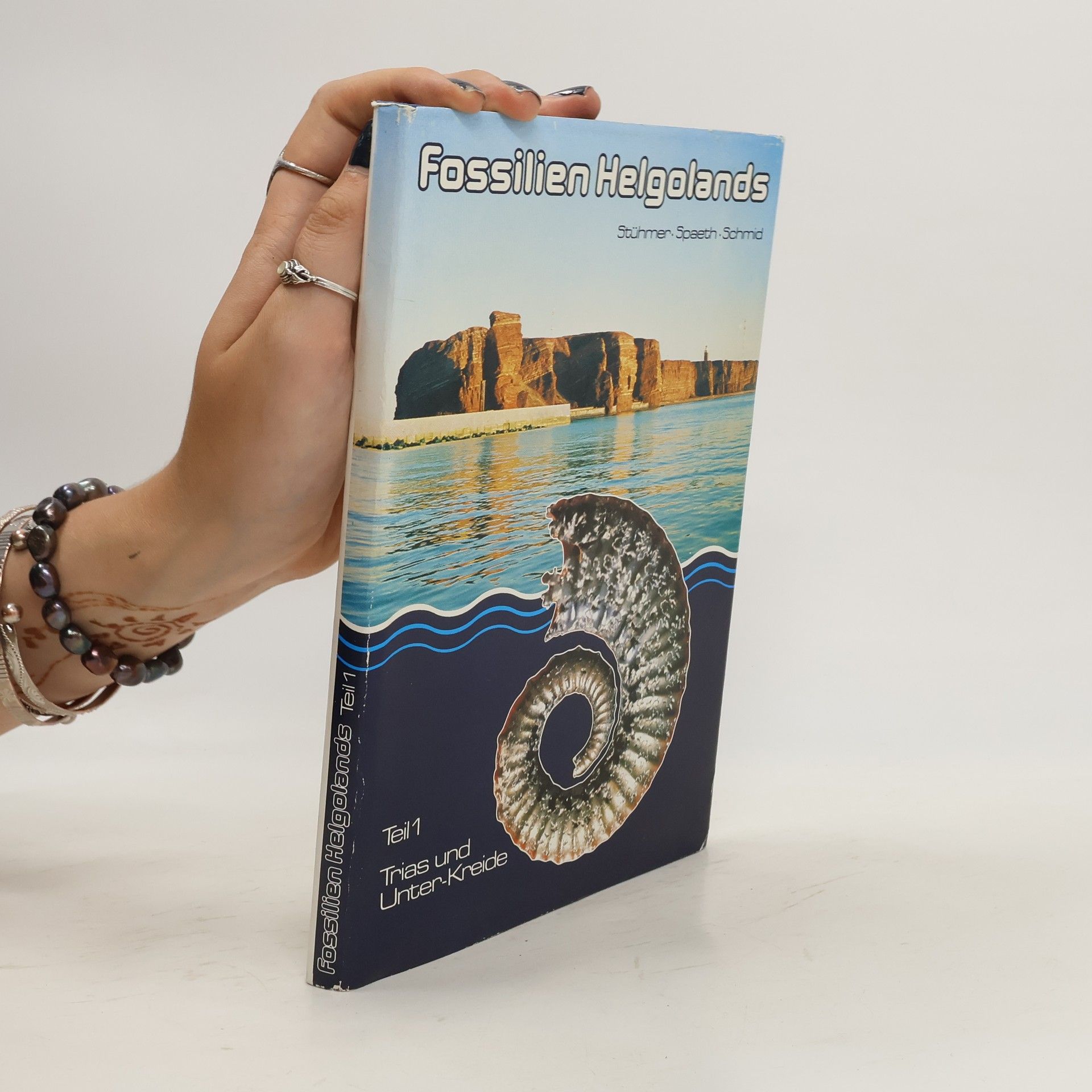 Collective Fossilien Helgolands Teil 1