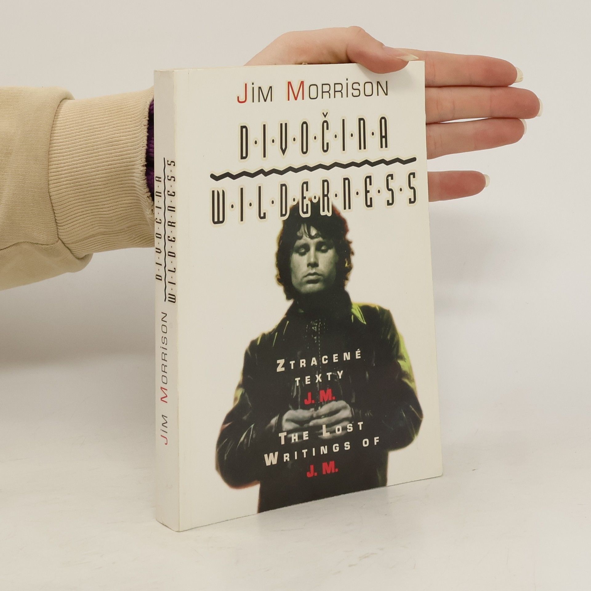 Jim Morrison Divočina, Wilderness = Ztracené texty