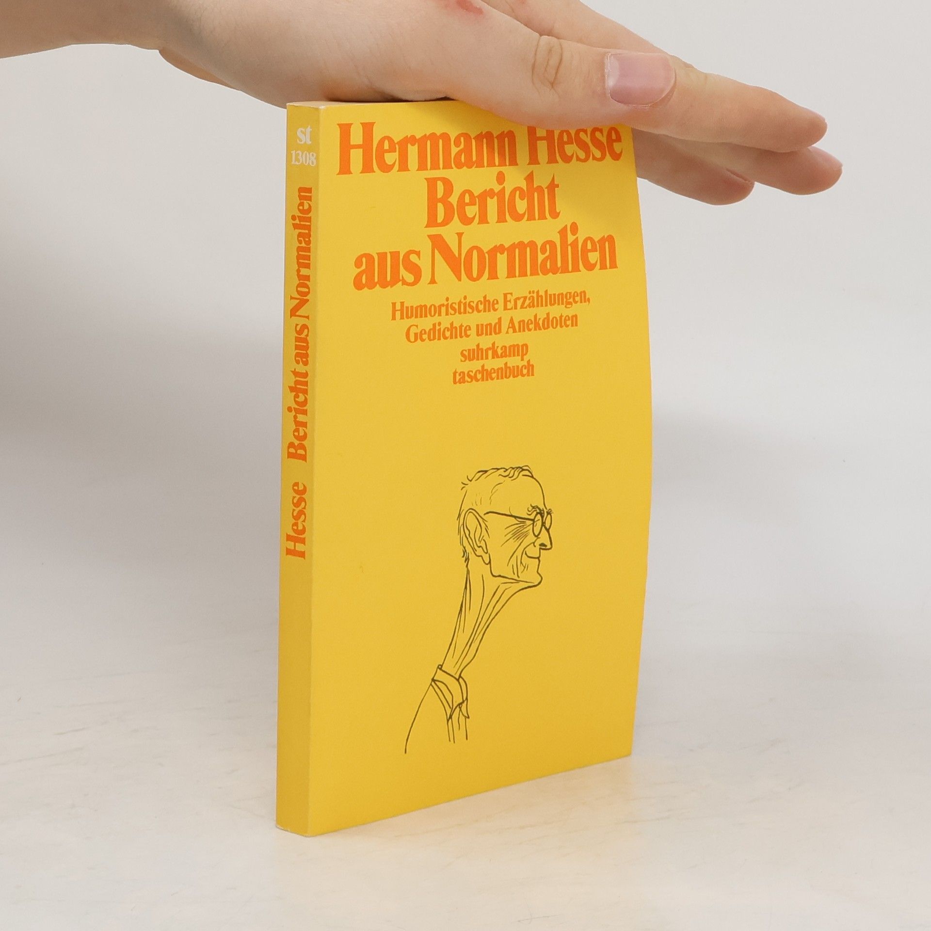 Hermann Hesse Bericht aus Normalien. Humoristische Erzählungen, Gedichte und Anekdoten