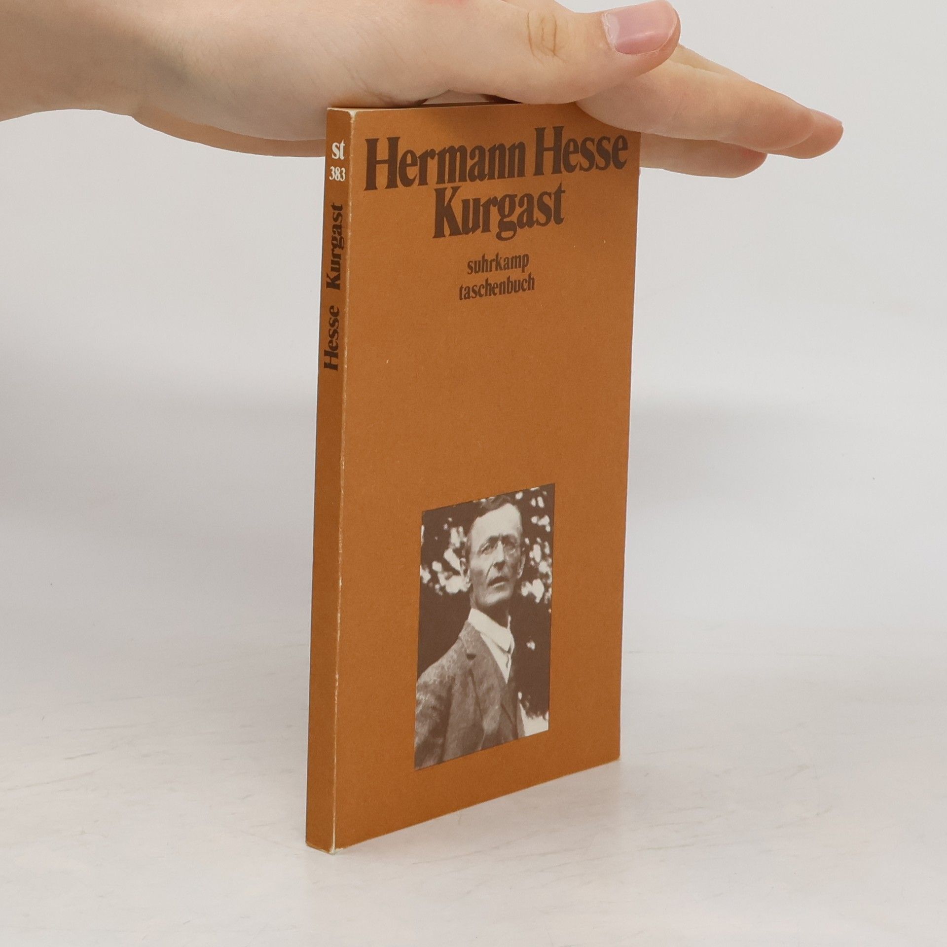 Hermann Hesse Kurgast