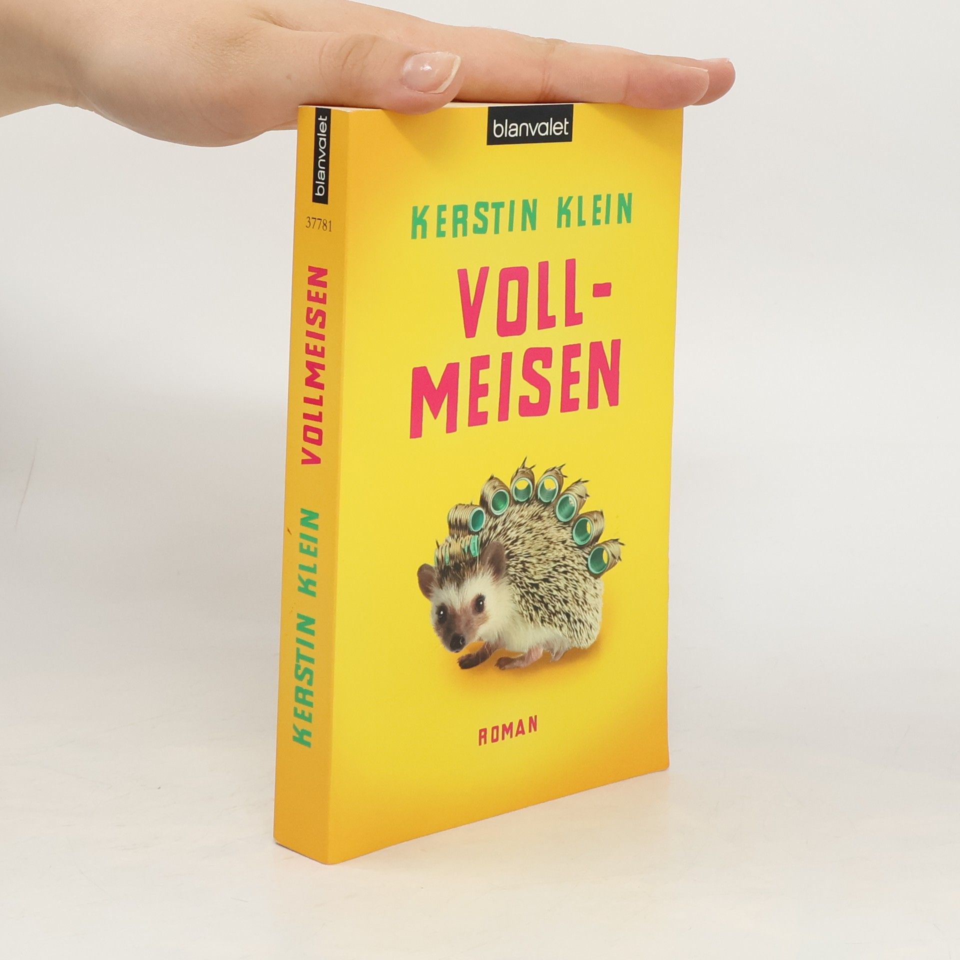 Kerstin Klein Vollmeisen