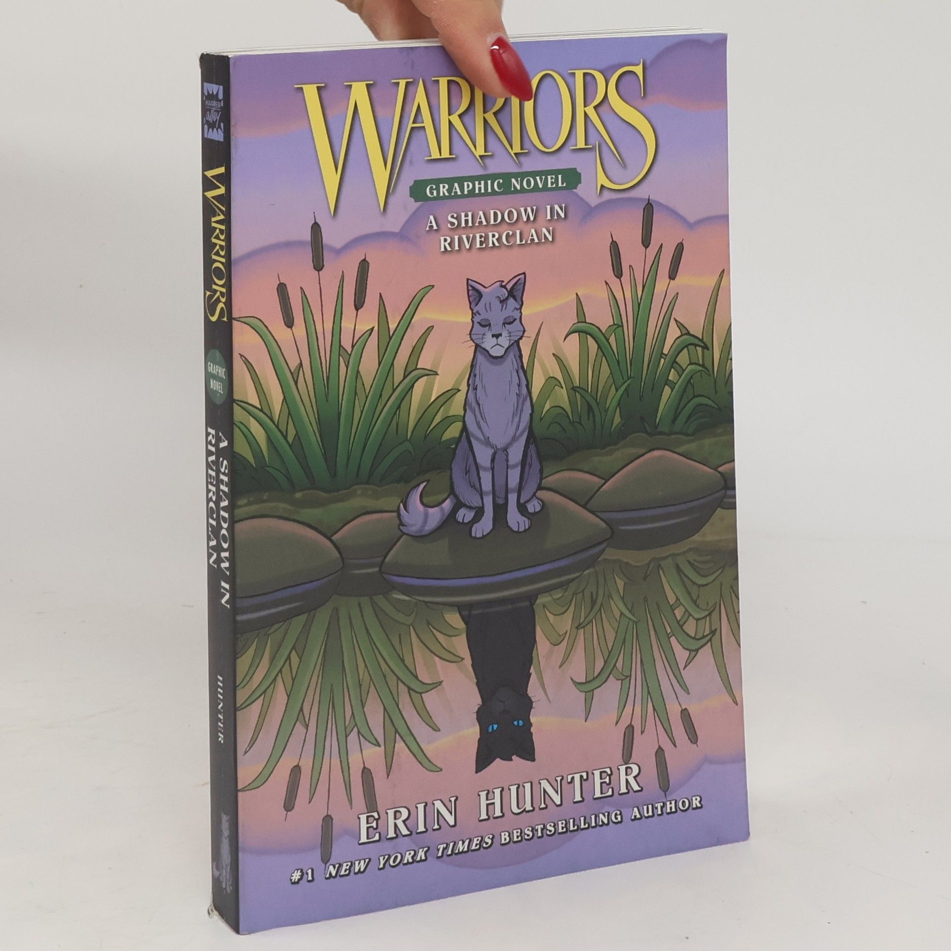 Erin Hunter Warriors: a Shadow in RiverClan