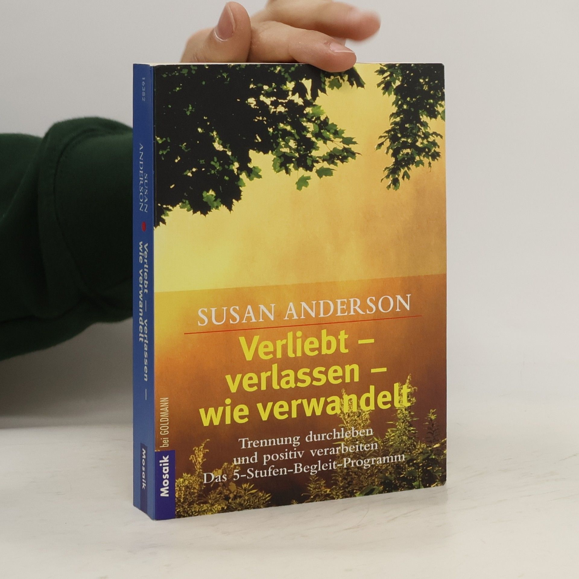 Susan Anderson-Freed Verliebt - verlassen - wie verwandelt