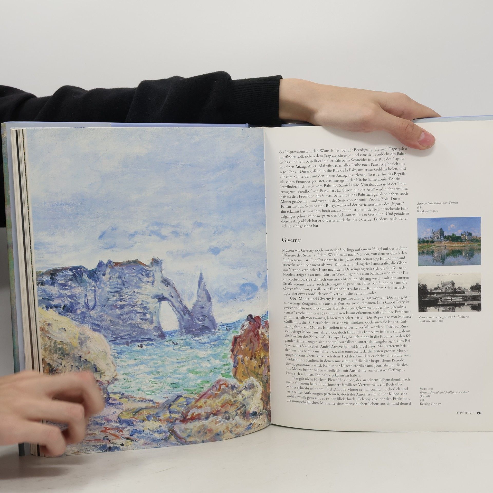 Daniel Wildenstein Monet oder der Triumph des Impressionismus